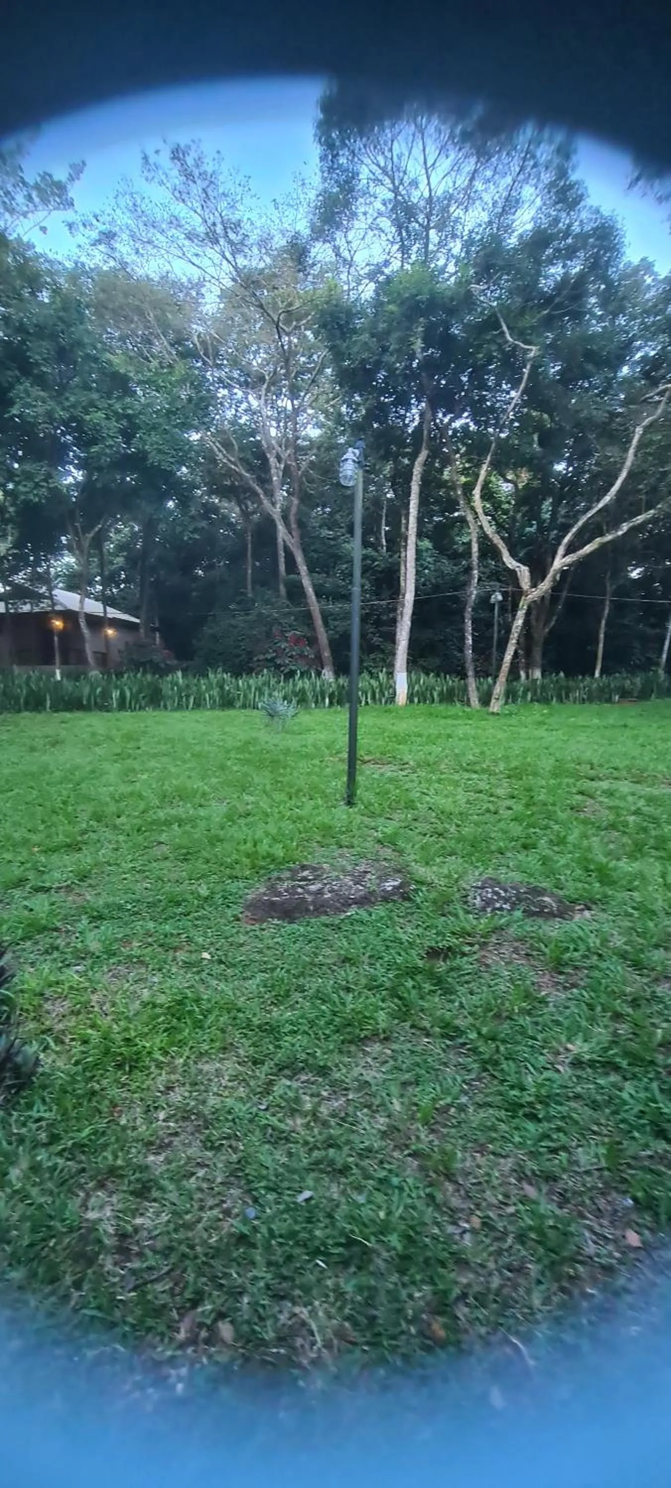 Garden view in Bosque São Francisco