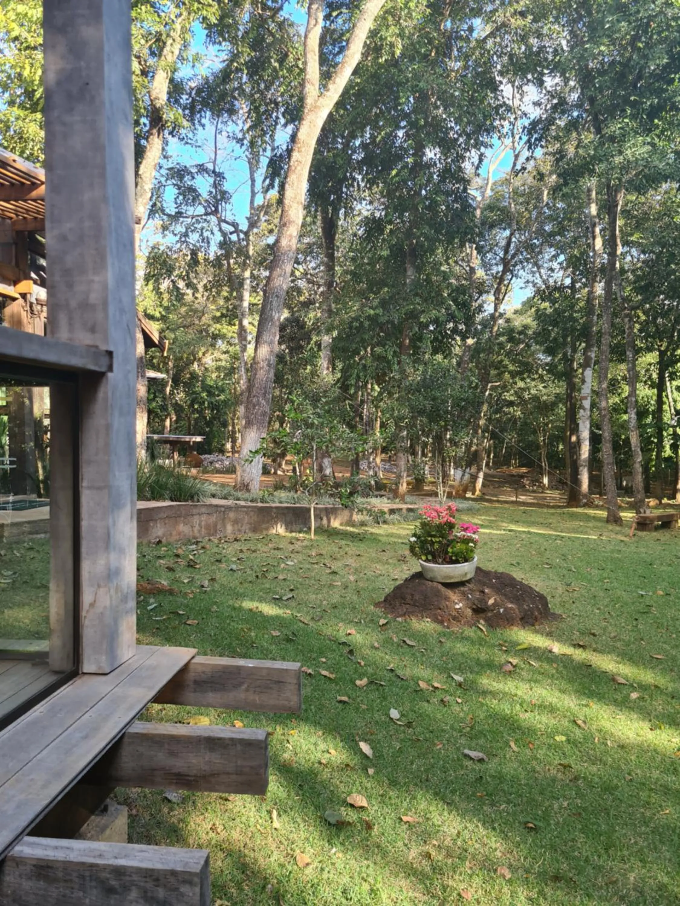 Bosque São Francisco
