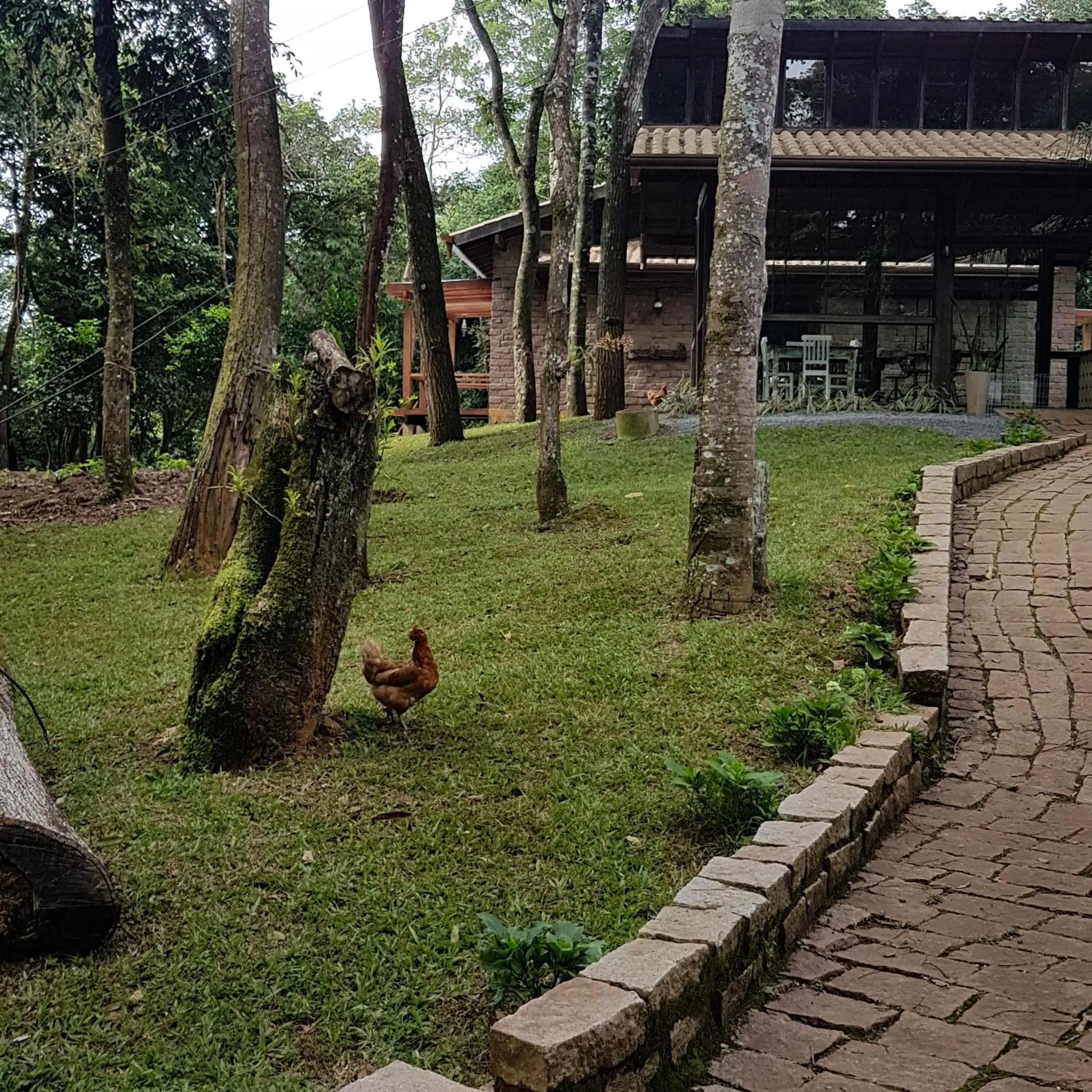 Bosque São Francisco