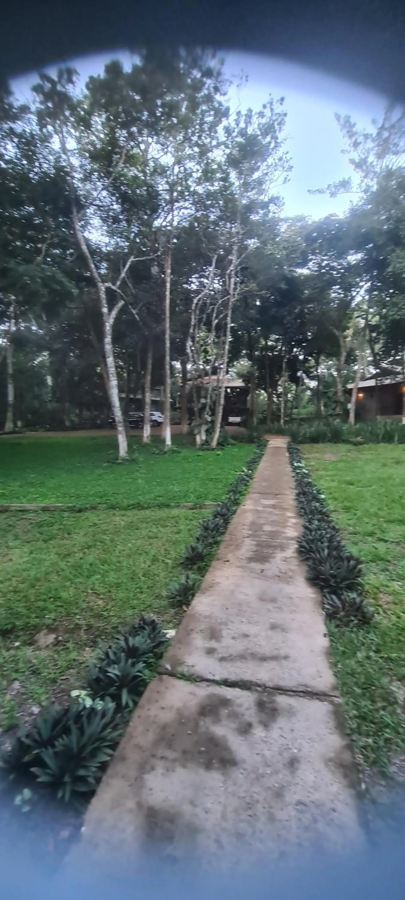Garden view in Bosque São Francisco