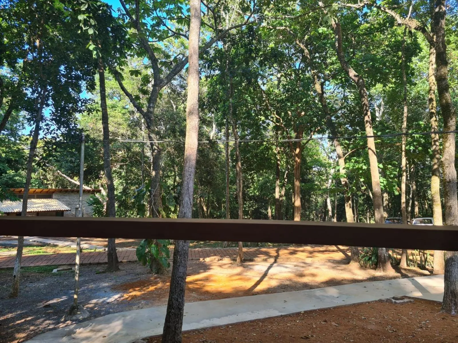 Bosque São Francisco