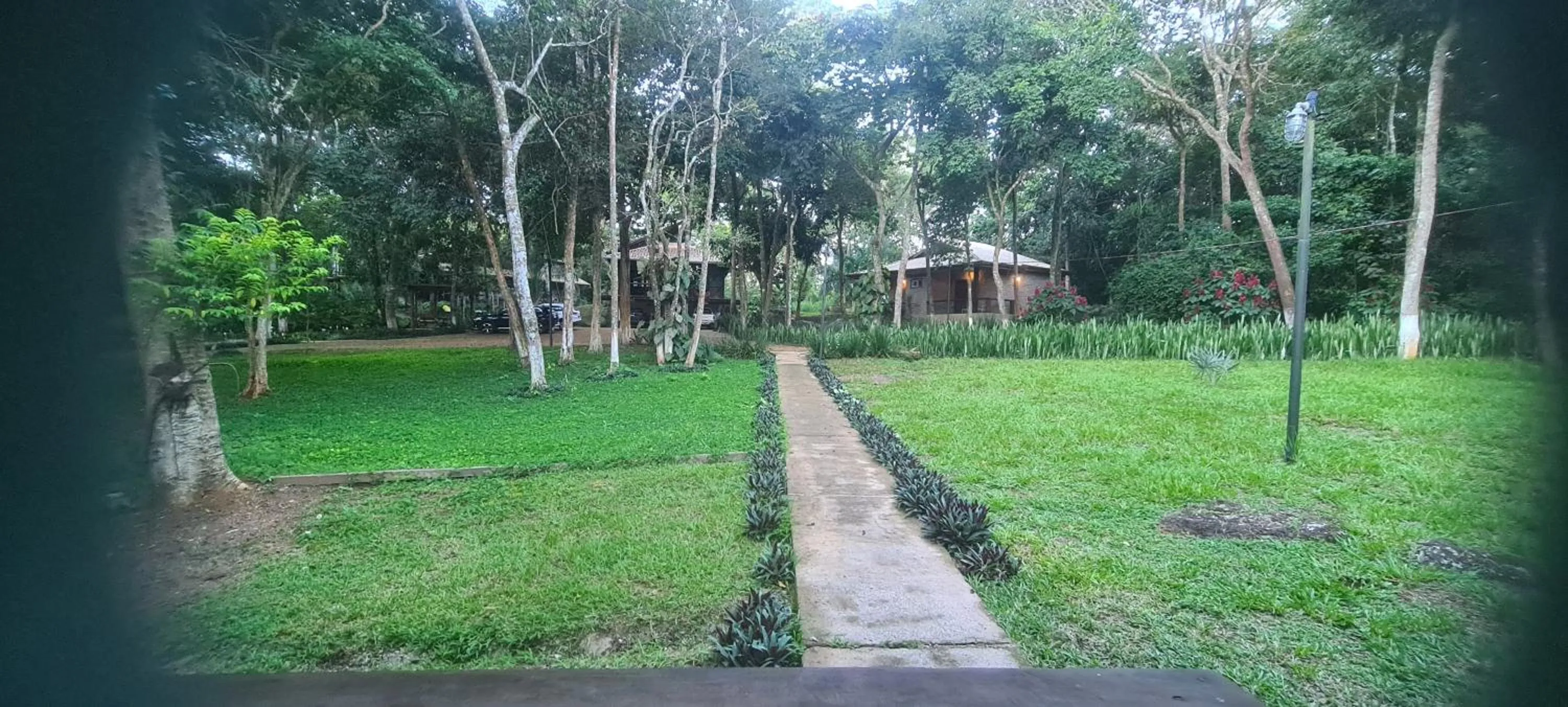 Natural landscape in Bosque São Francisco