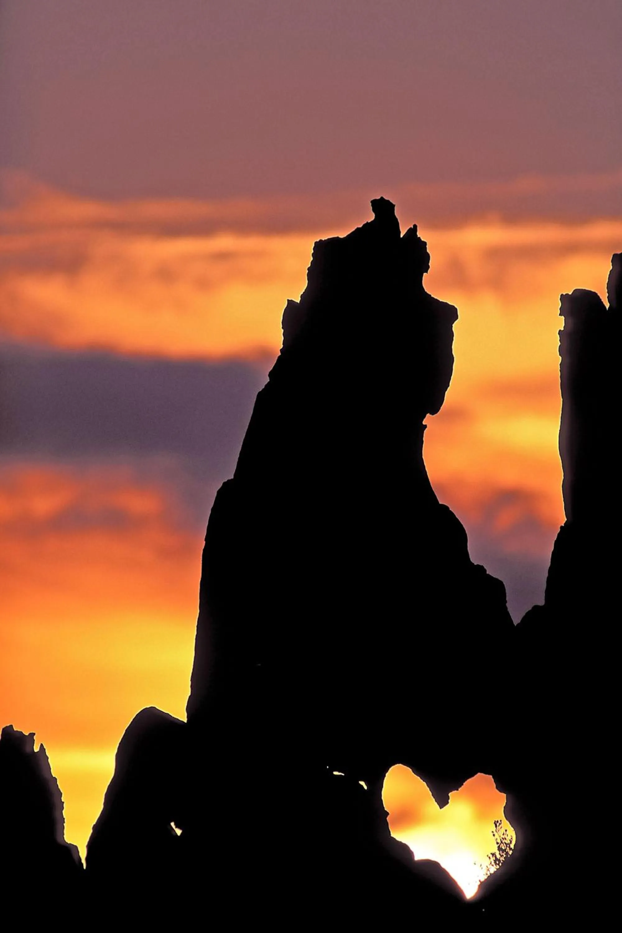 Natural landscape in Capo D'orto - Porto - Corse