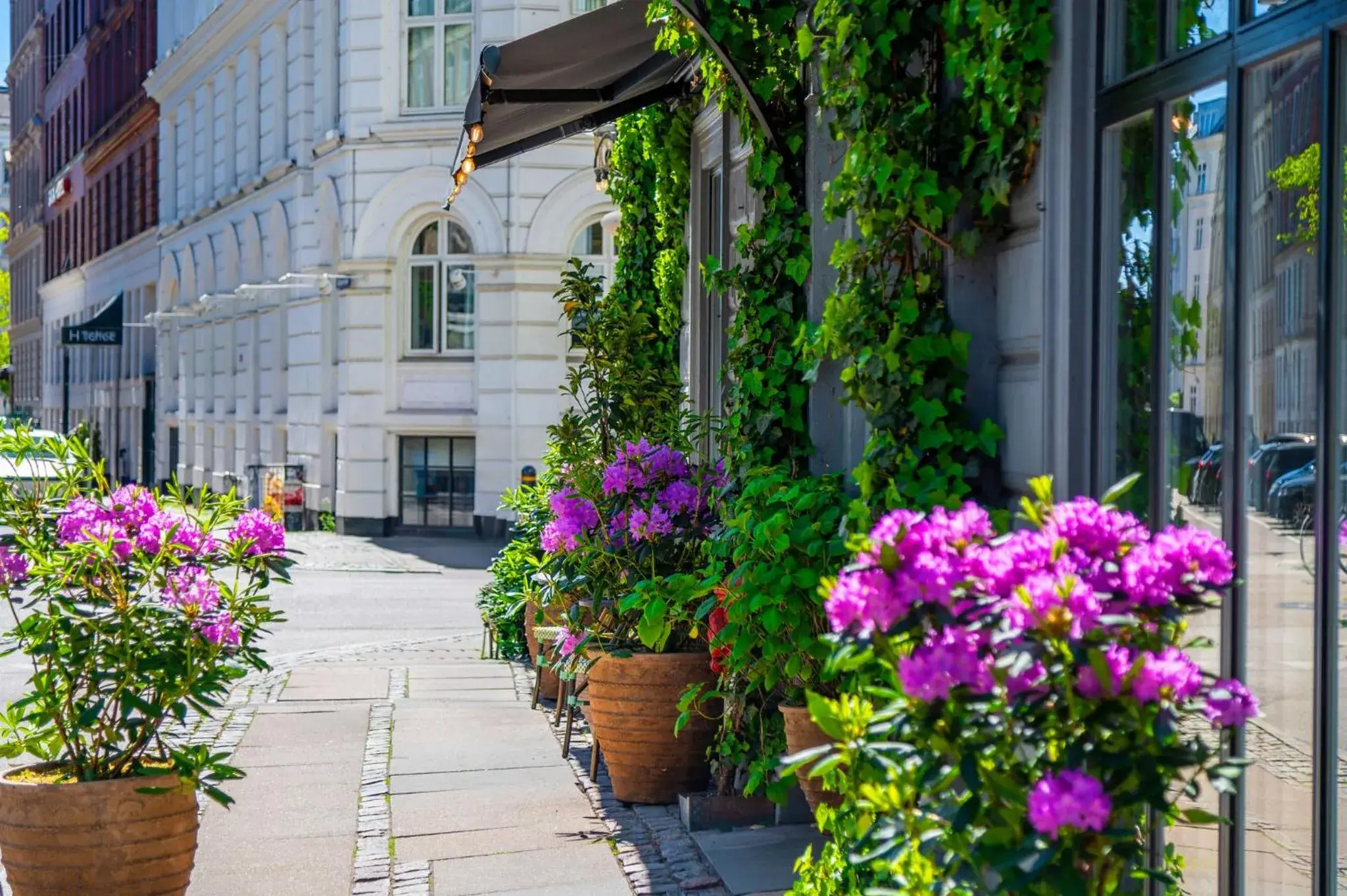 Facade/entrance in Axel Guldsmeden Facade/entrance in Axel Guldsmeden