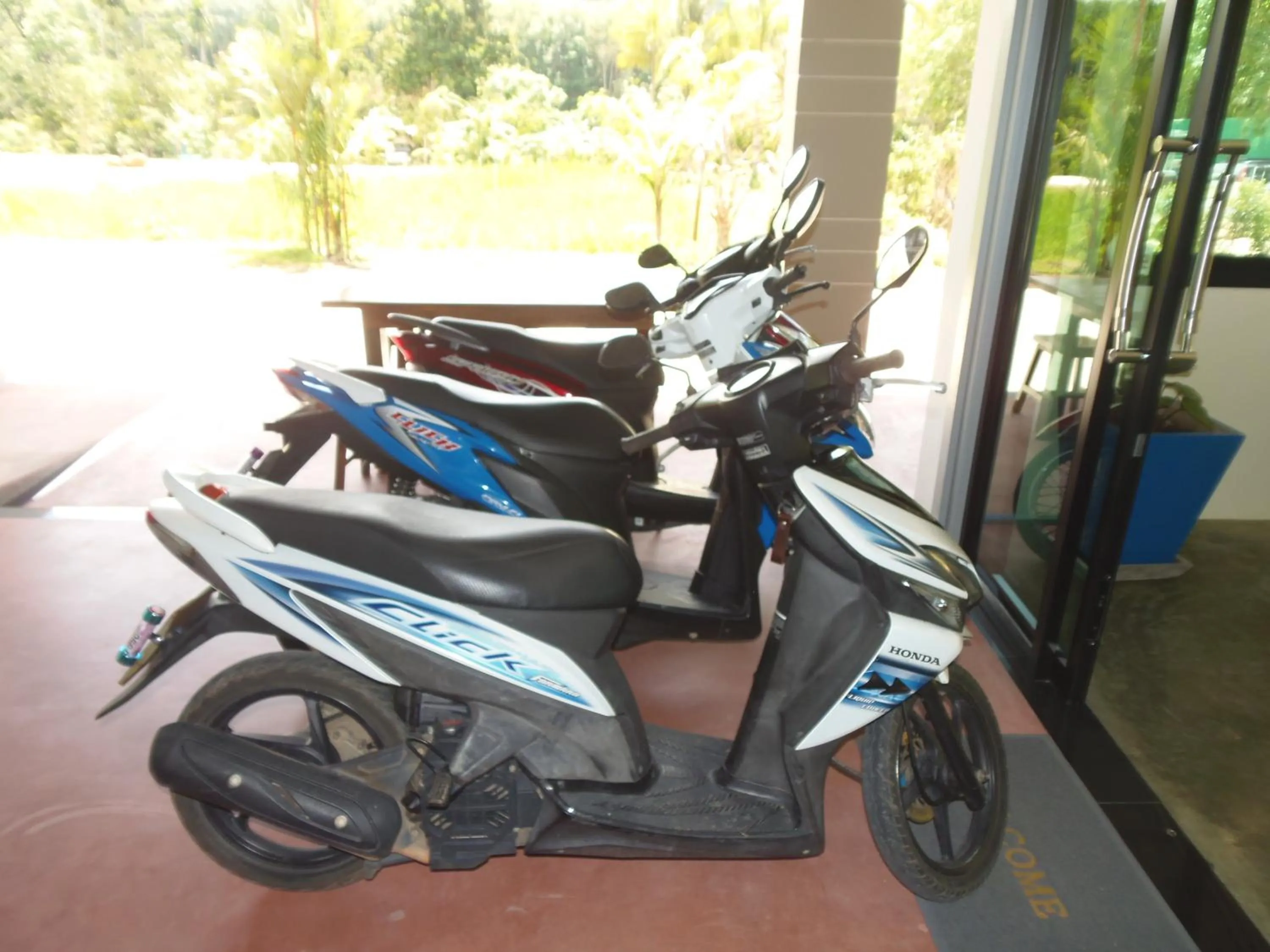 Activities in Krabi Inn Resort