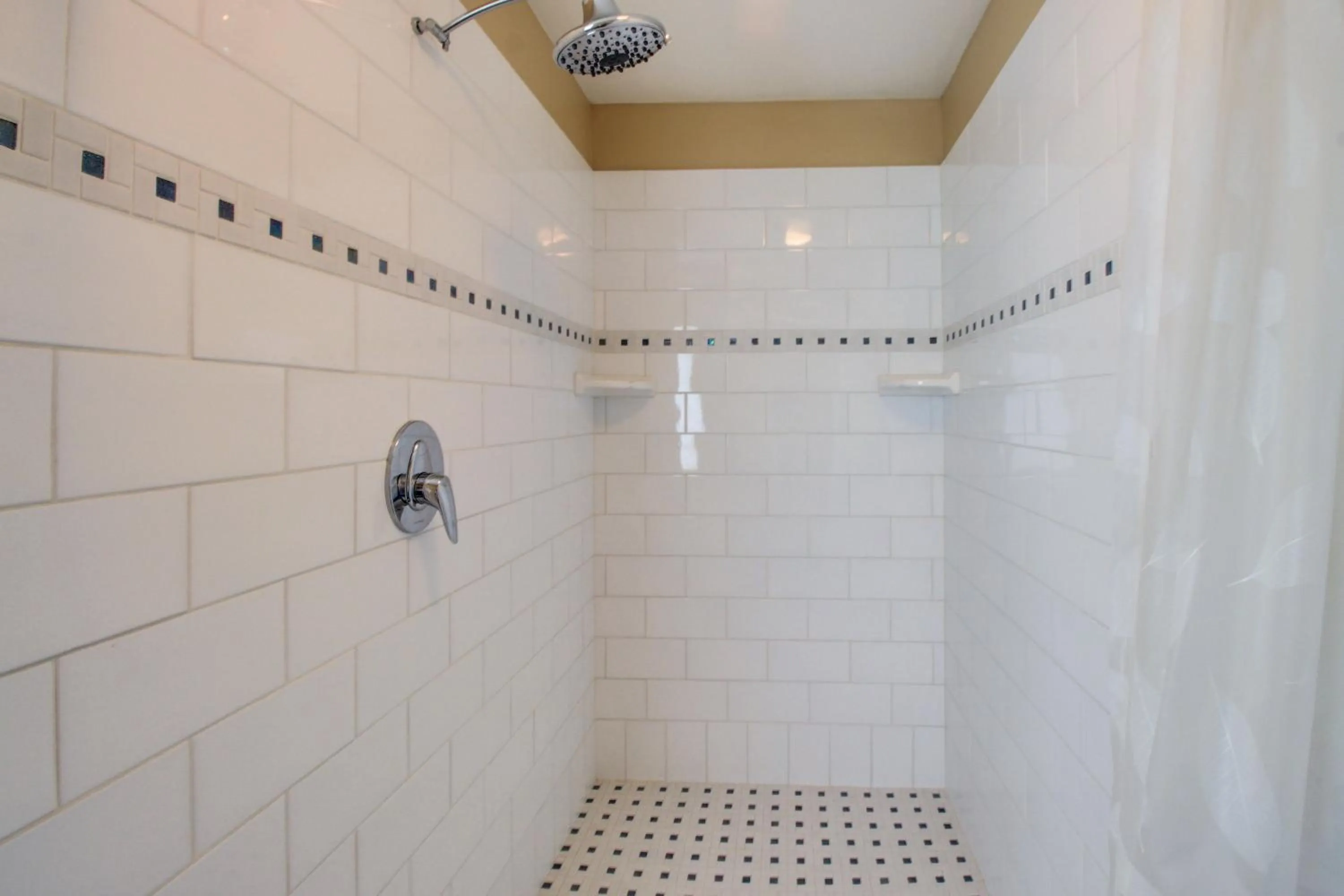 Beauty and the Beach