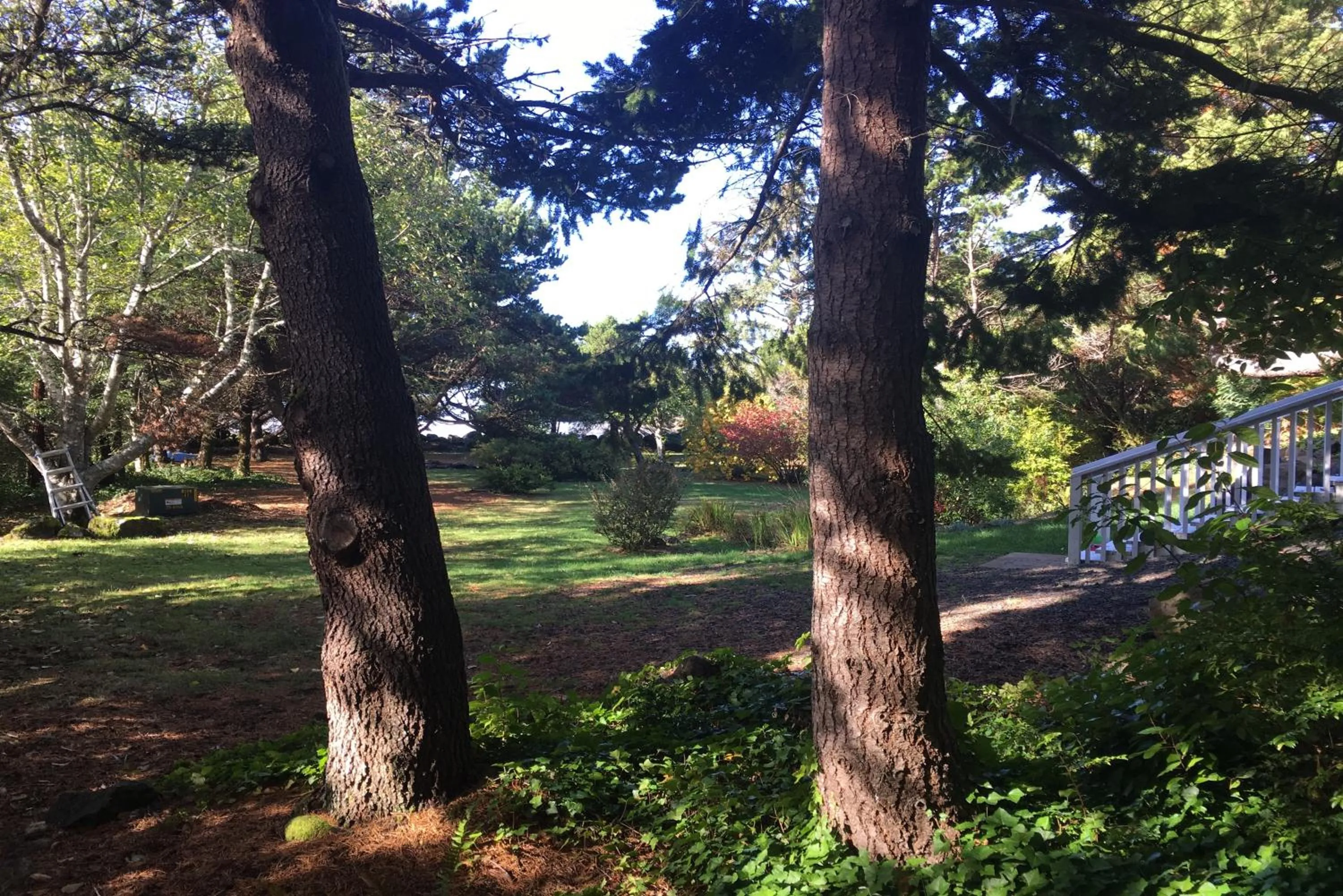 Hidden Luxury Beachfront Estate