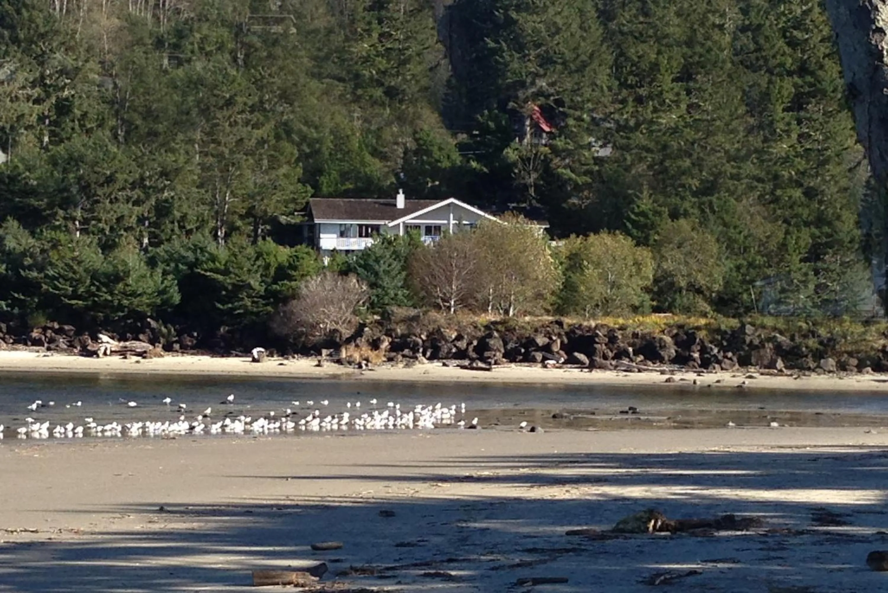 Hidden Luxury Beachfront Estate