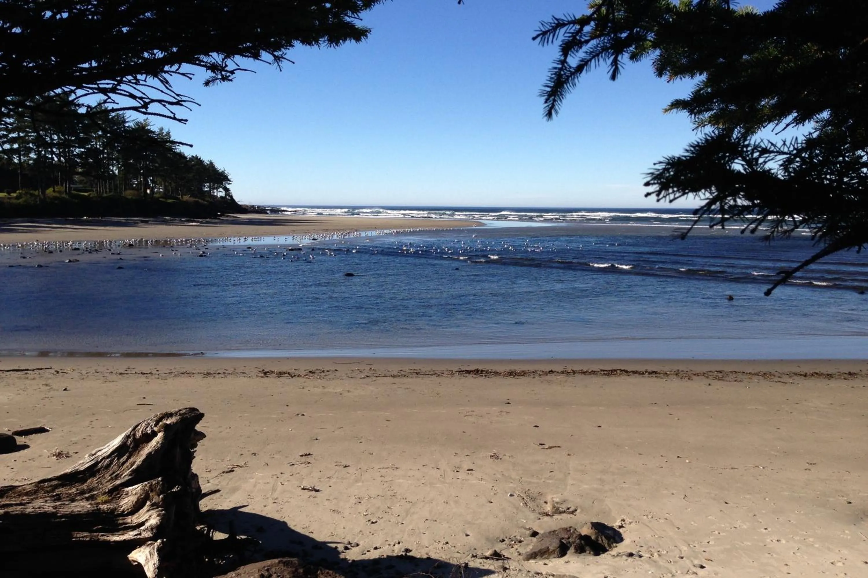 Hidden Luxury Beachfront Estate