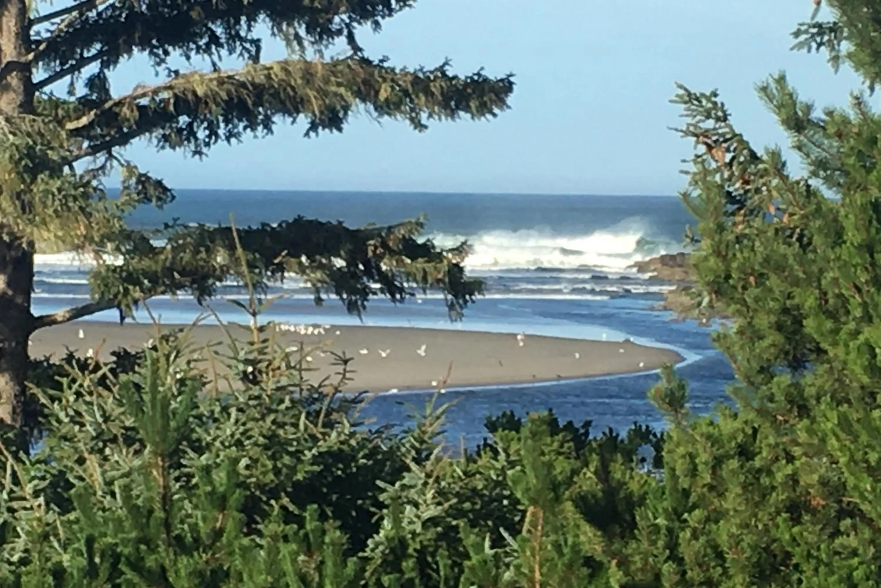 Hidden Luxury Beachfront Estate