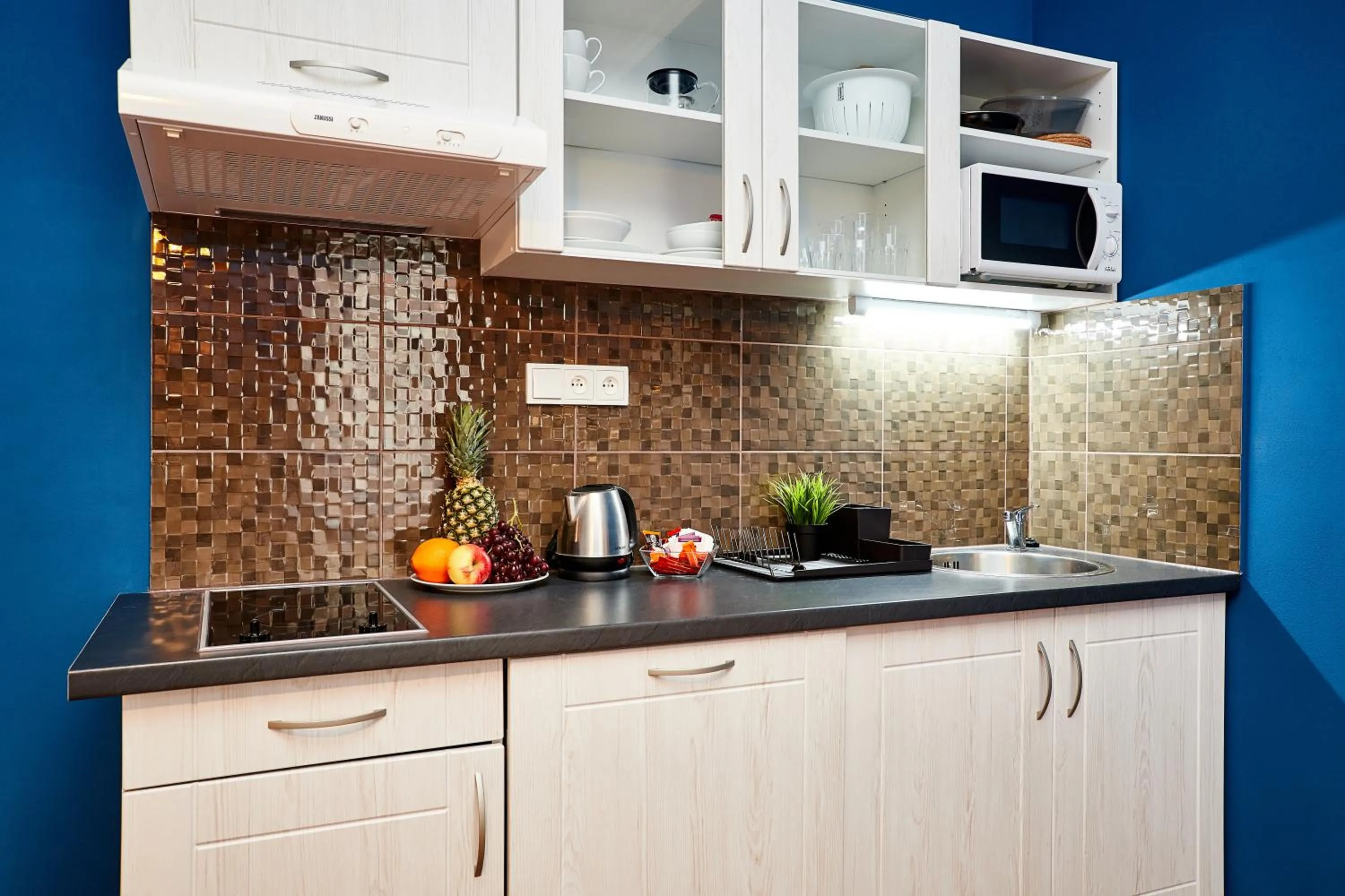 Kitchen or kitchenette in Residence Vaclavska