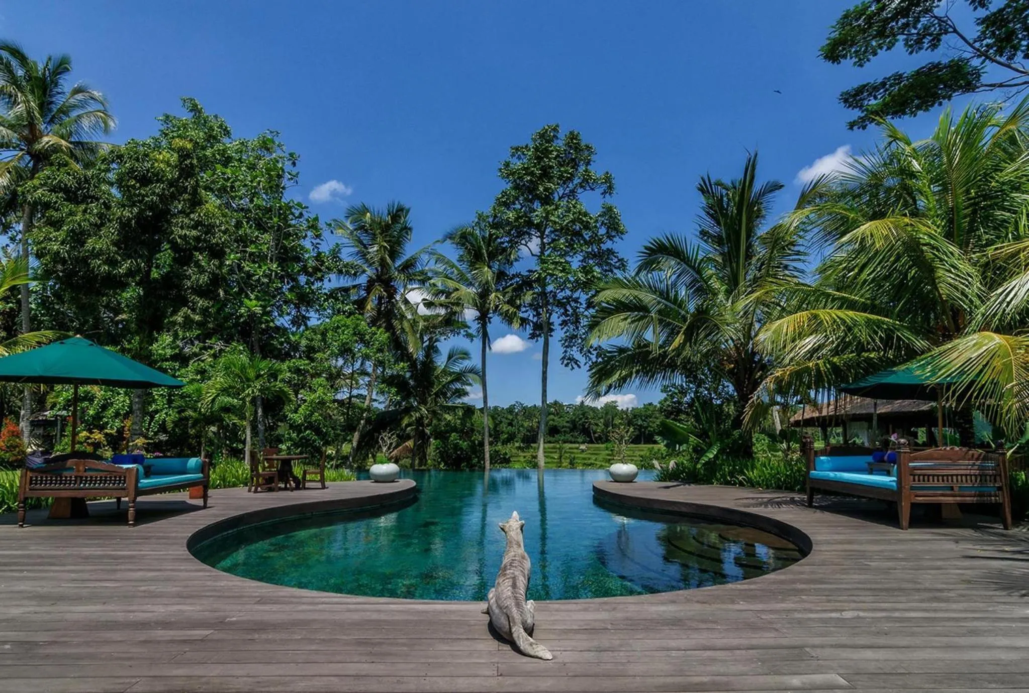 Swimming pool in Permata Ayung Private Estate