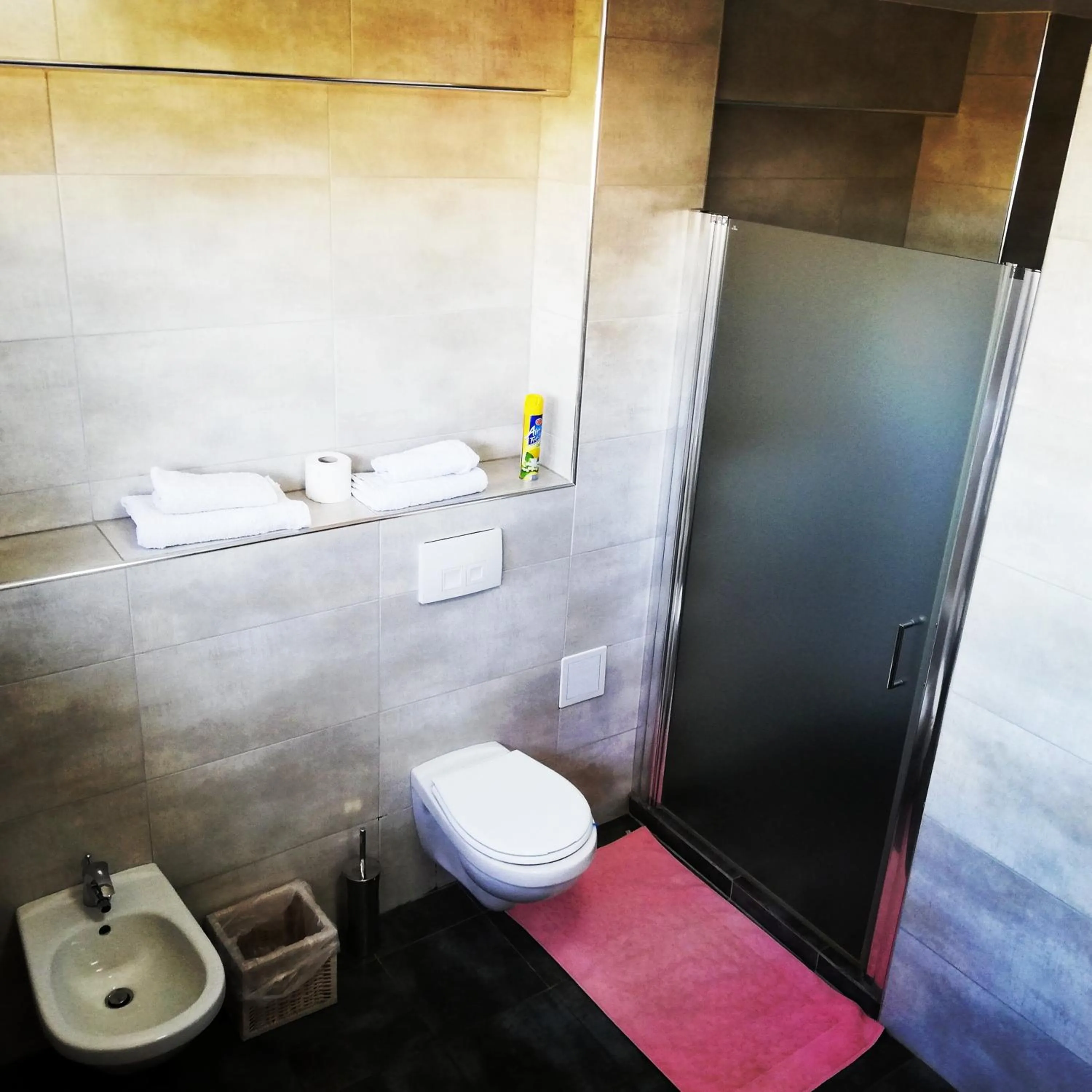 Shower in Penthouse Renașterii Amazonia
