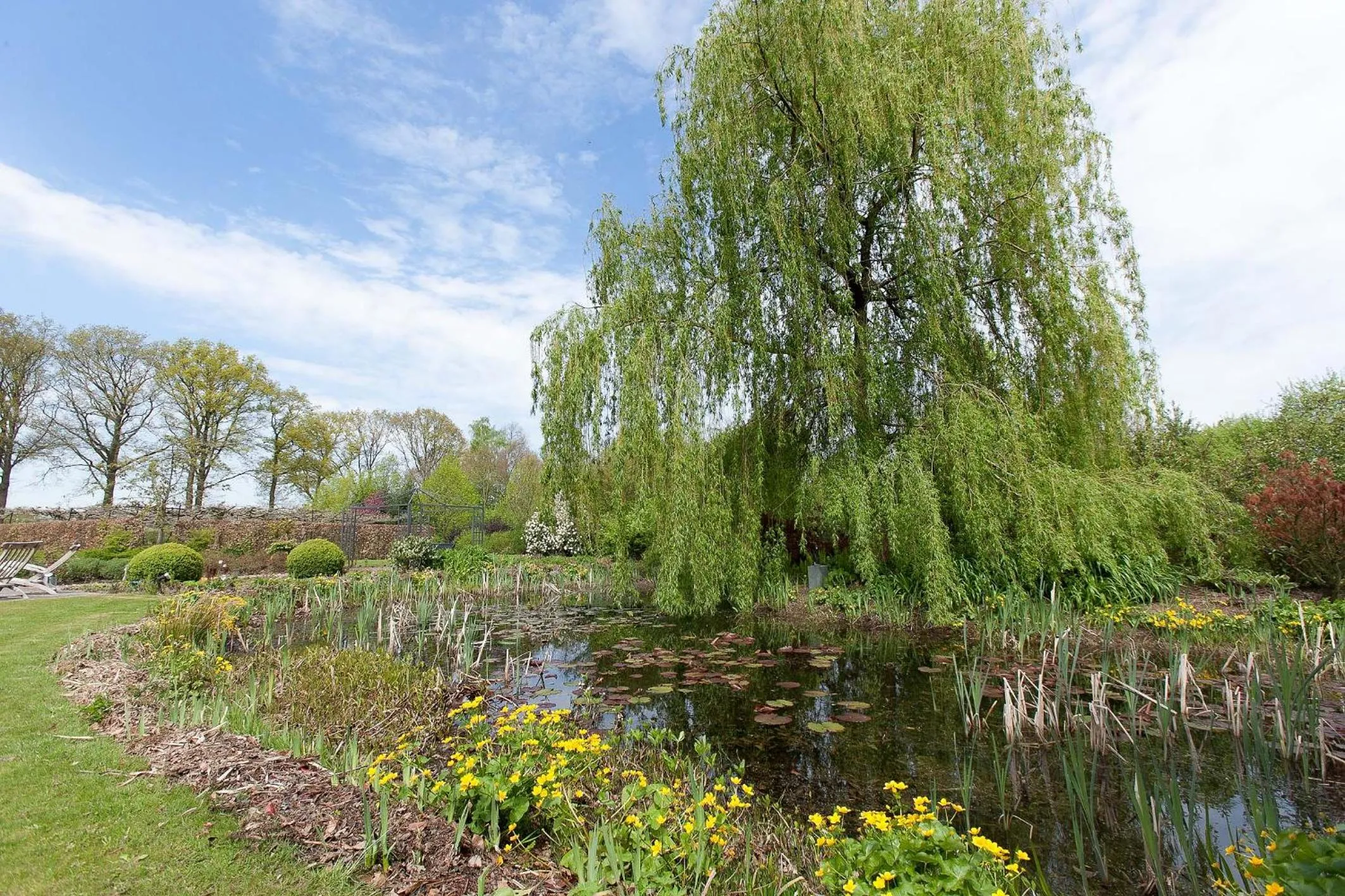 Natural landscape in PicaBella - B&B en atelier