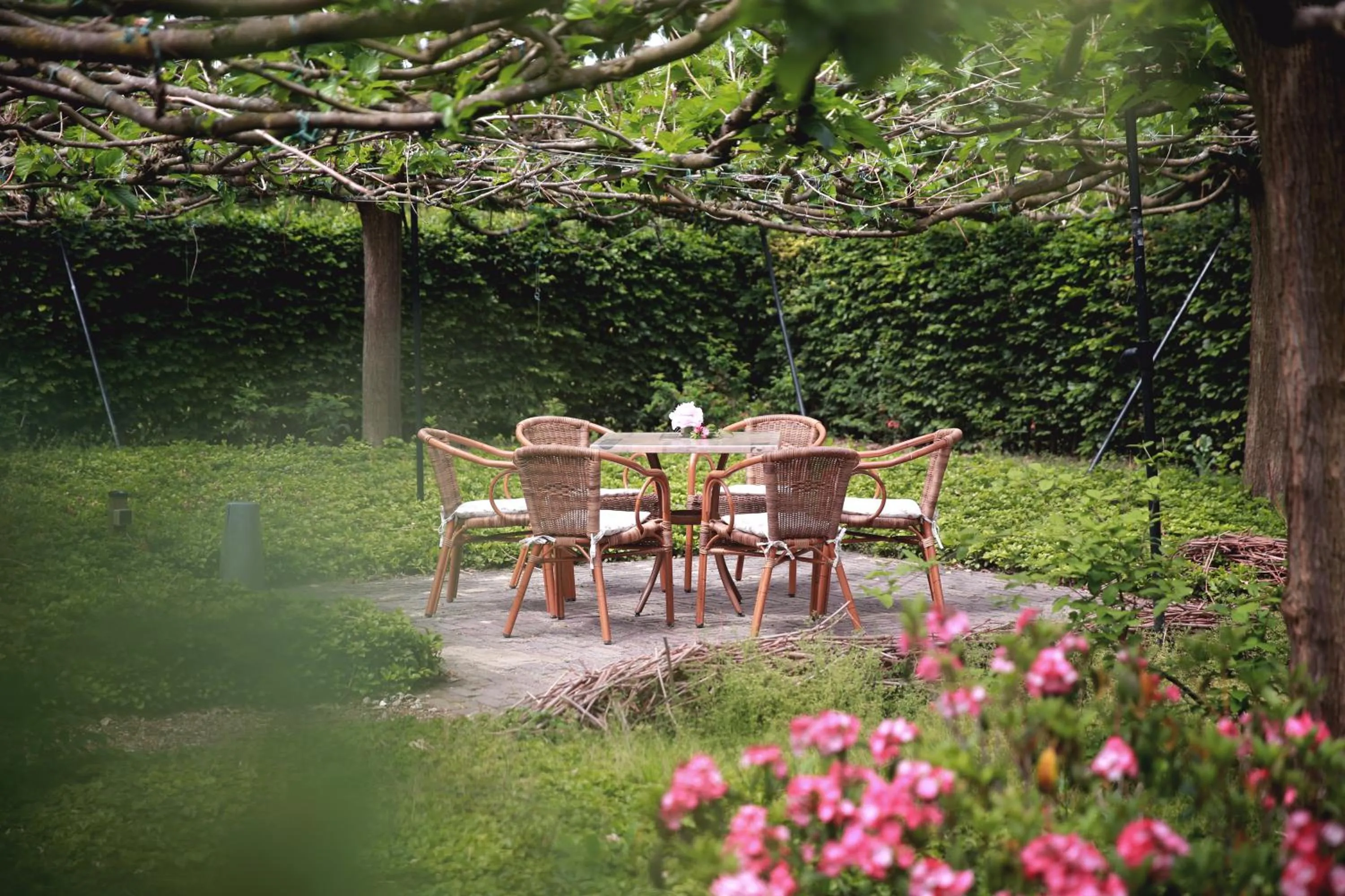 Garden in PicaBella - B&B en atelier