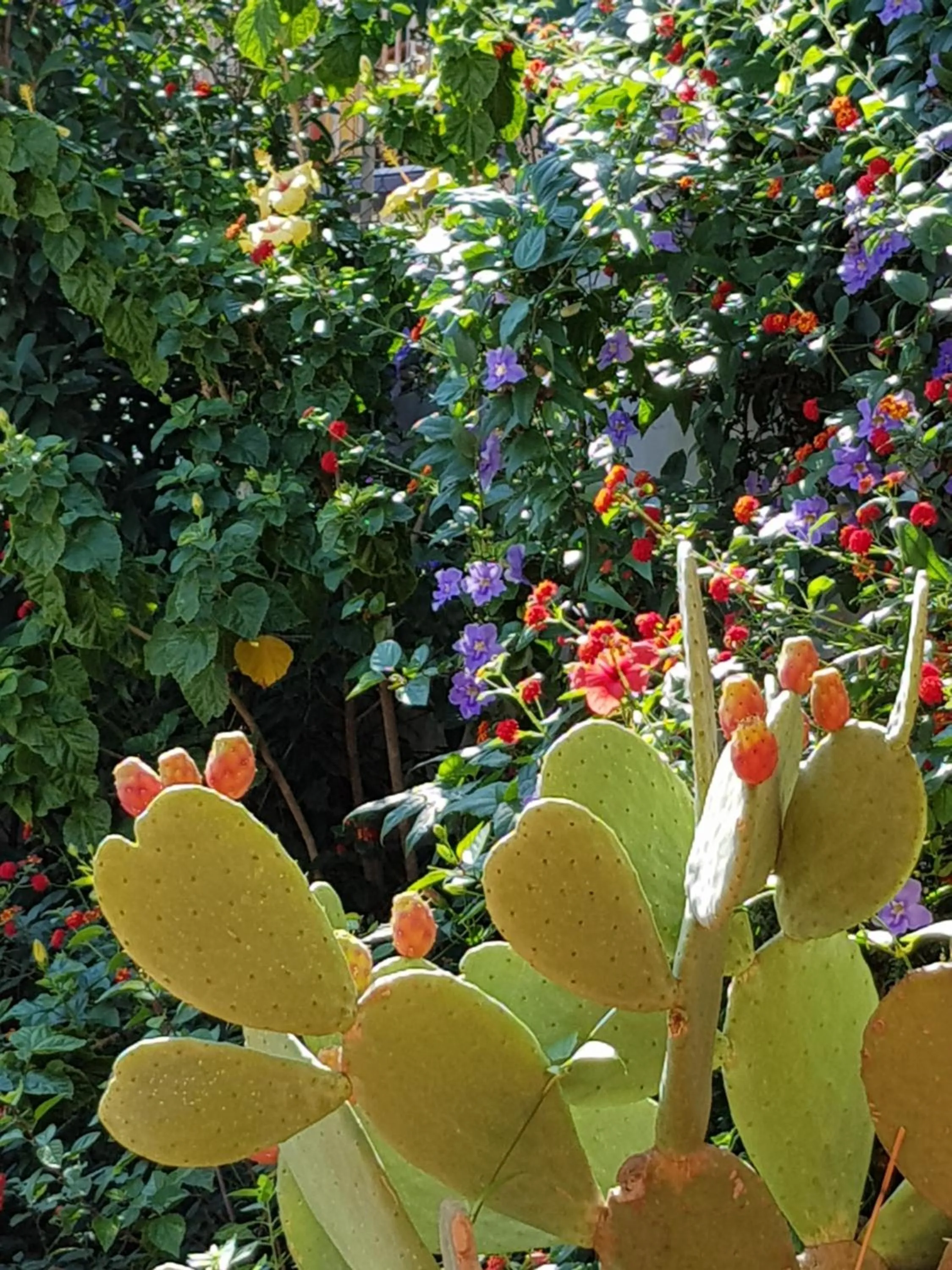 Garden in La Foresteria Garden Boutique B&B