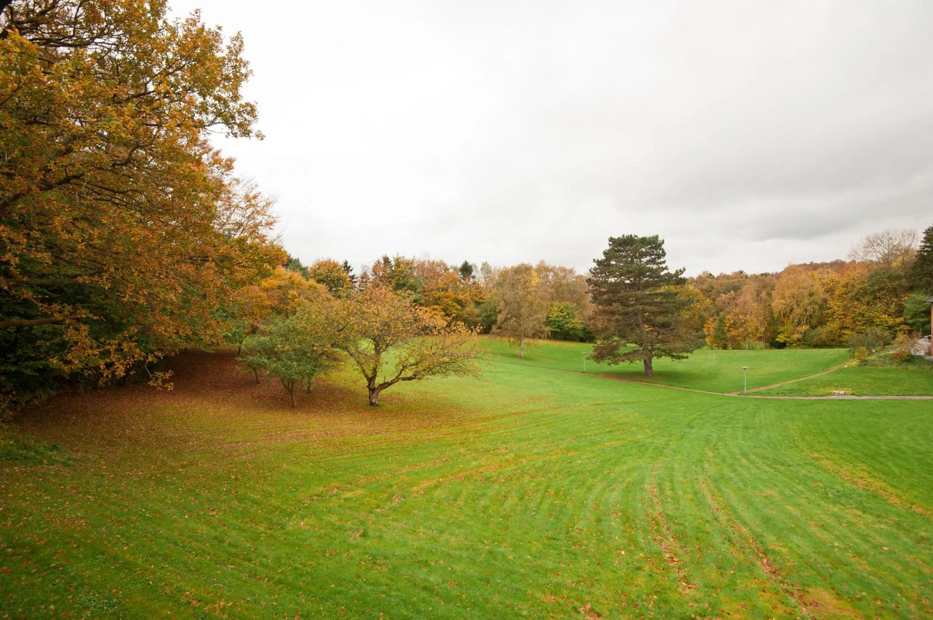Garden view in Comwell Holte