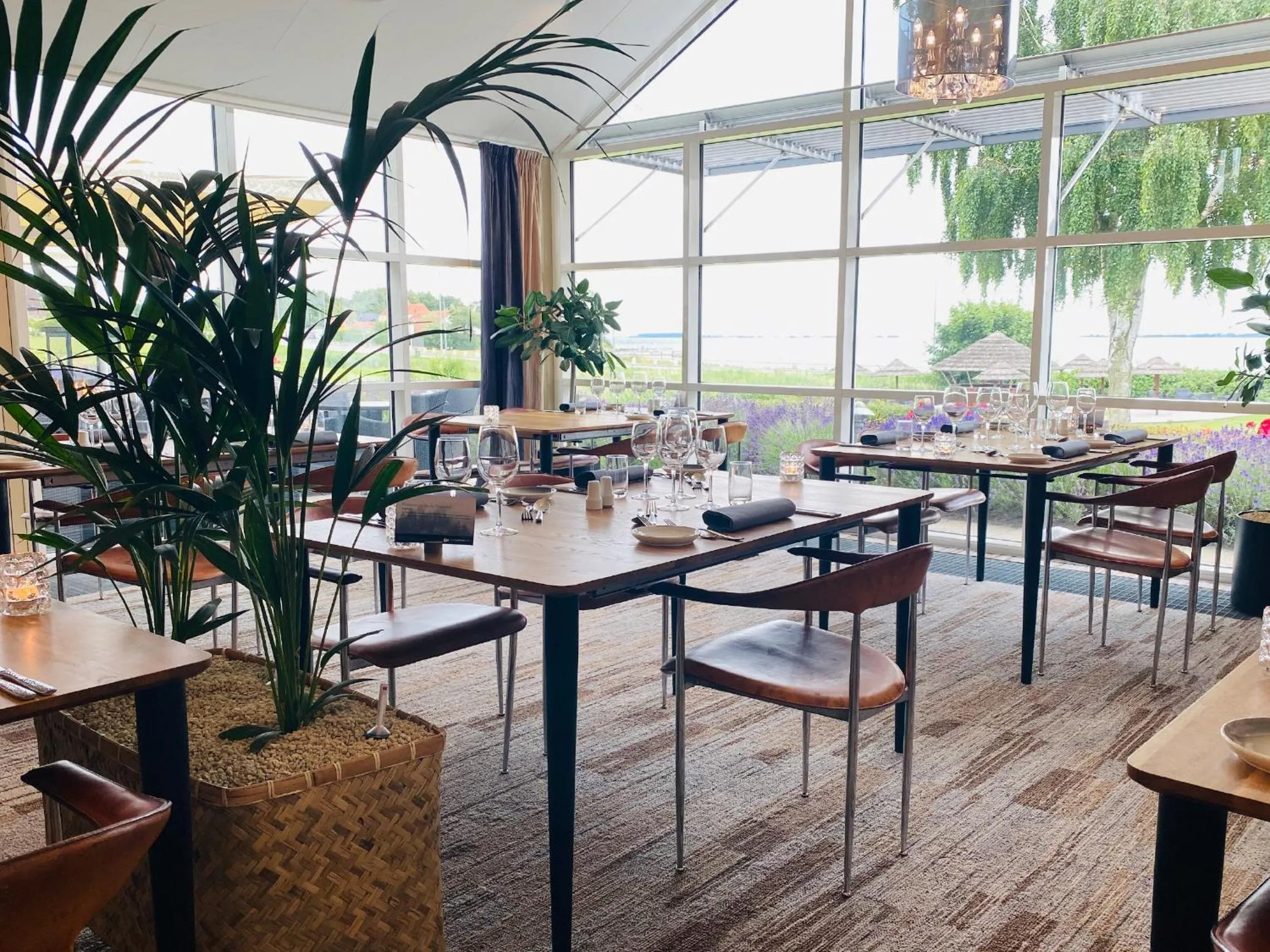 Restaurant/places to eat in Hotel Faaborg Fjord