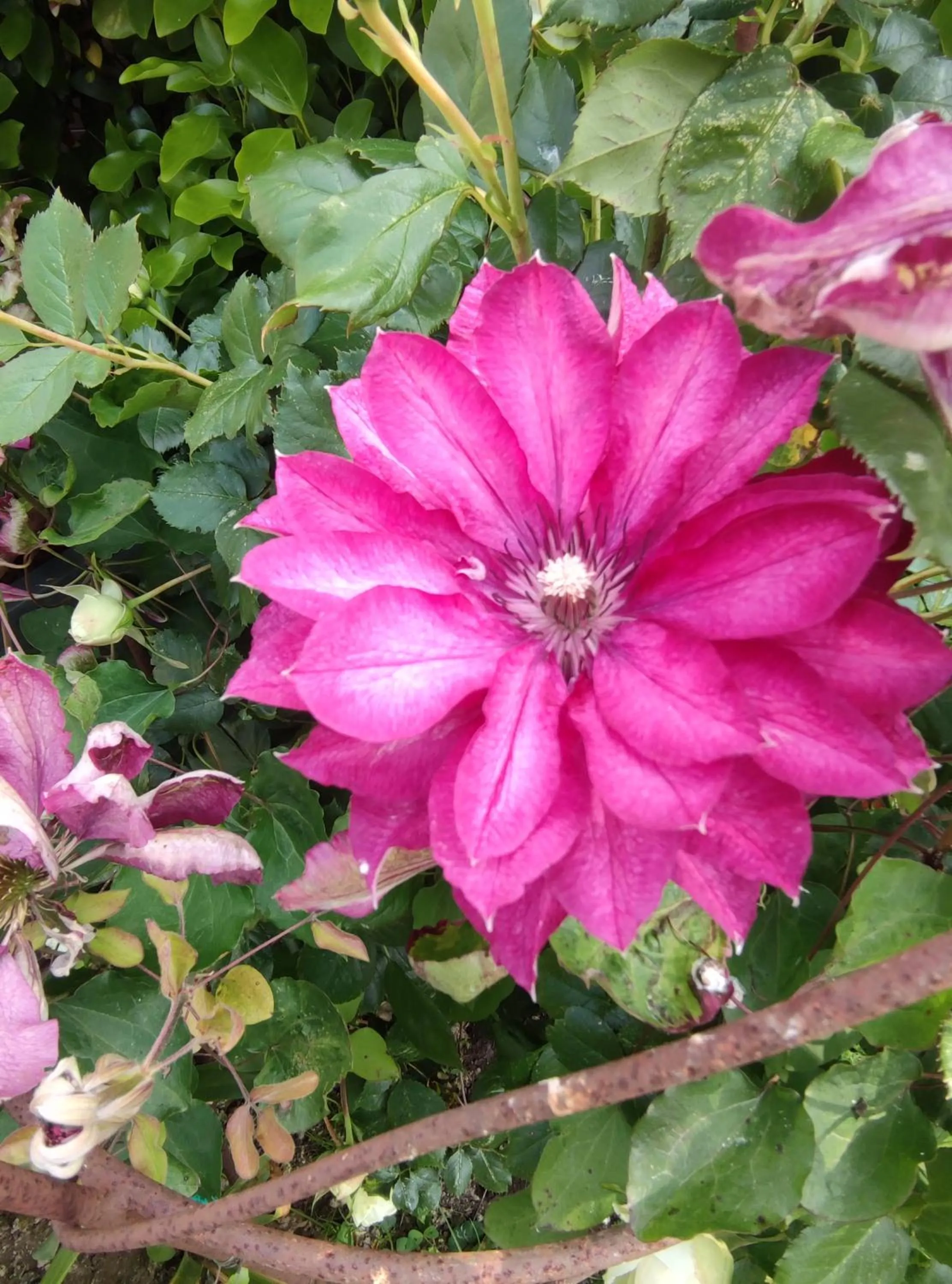 Les Chambres des Badious