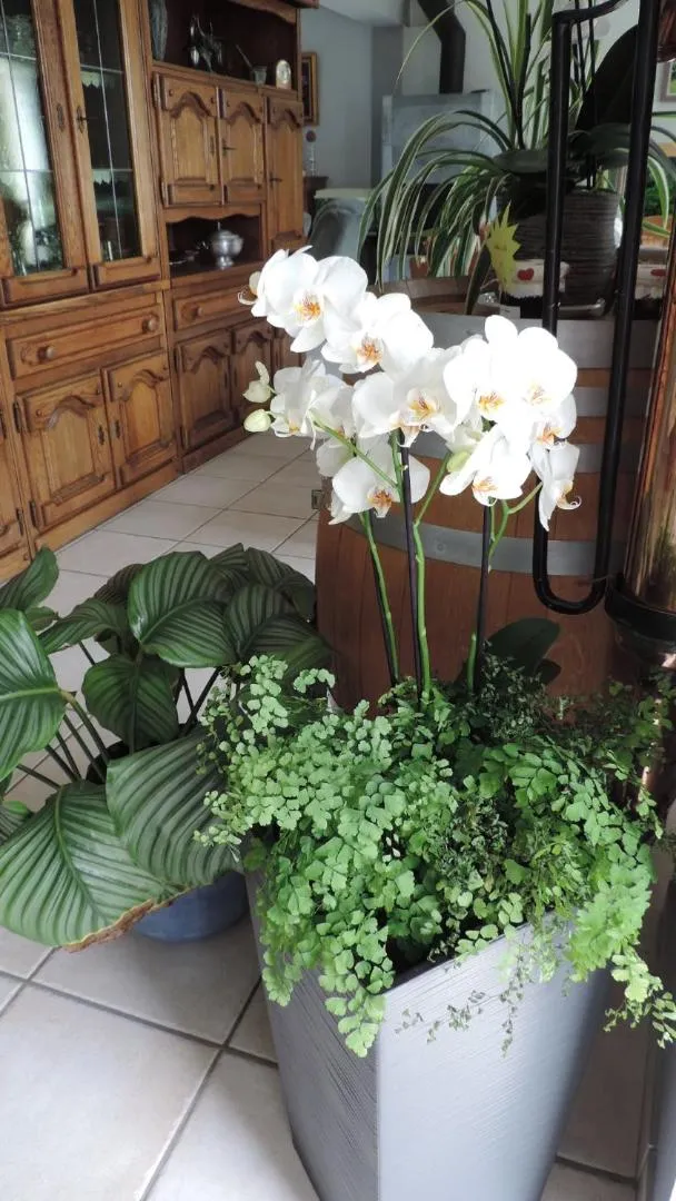 Les Chambres des Badious