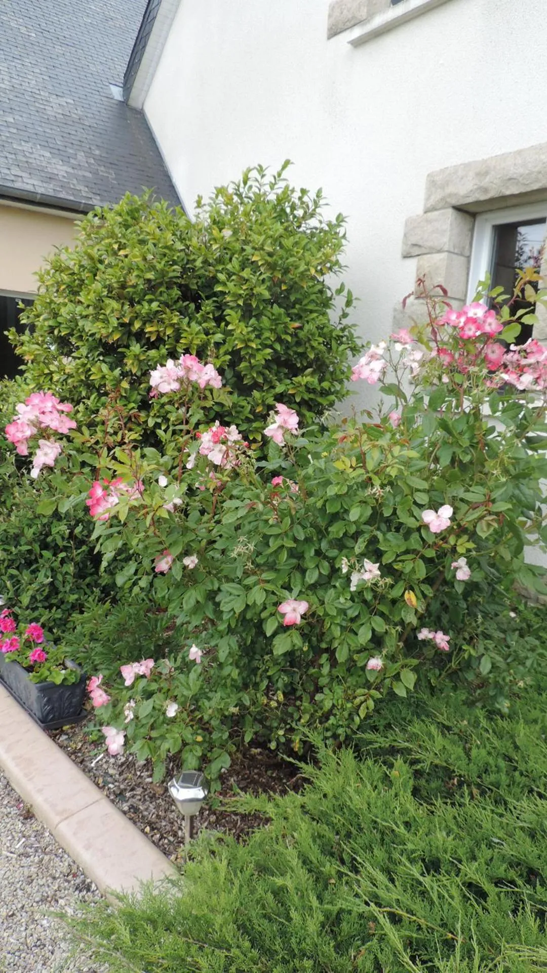 Les Chambres des Badious