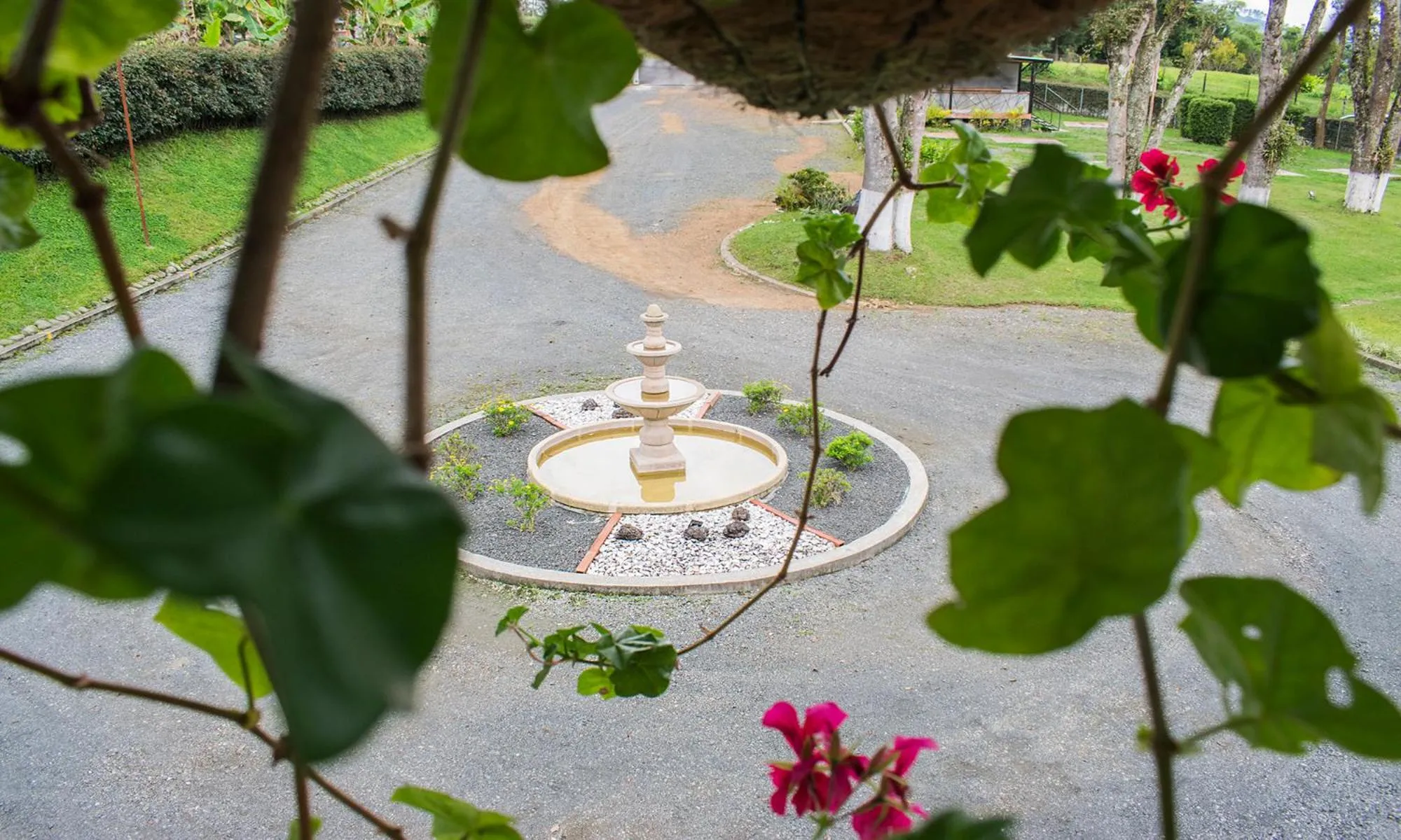 View (from property/room) in Hotel Hacienda Santa Clara