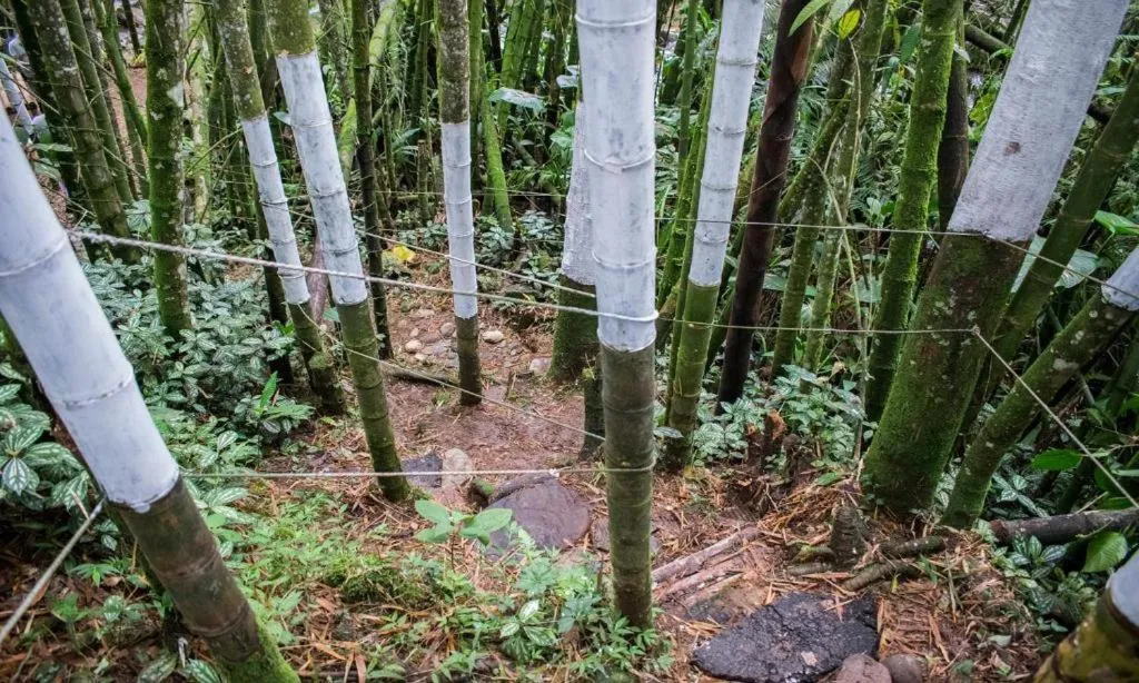 View (from property/room) in Hotel Hacienda Santa Clara