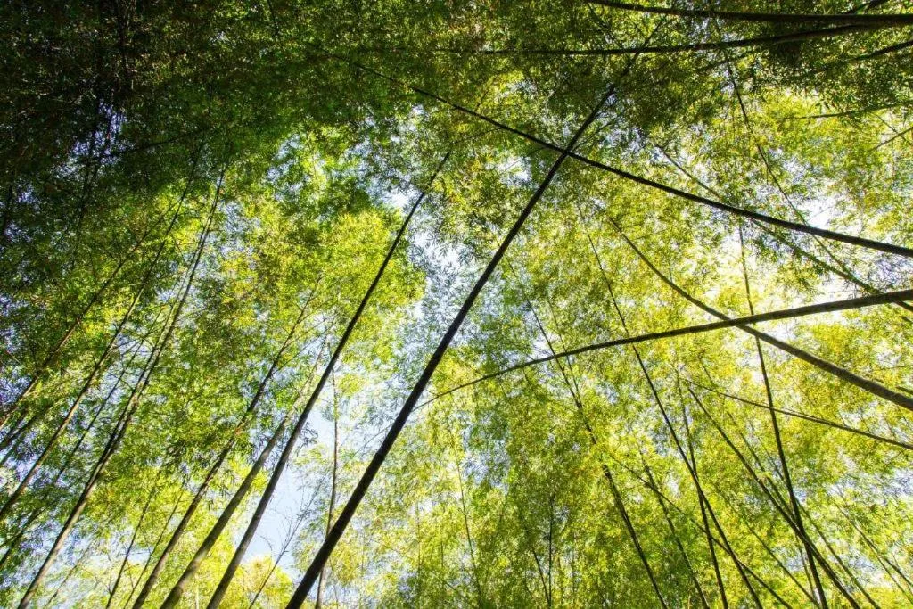 View (from property/room) in Hotel Hacienda Santa Clara