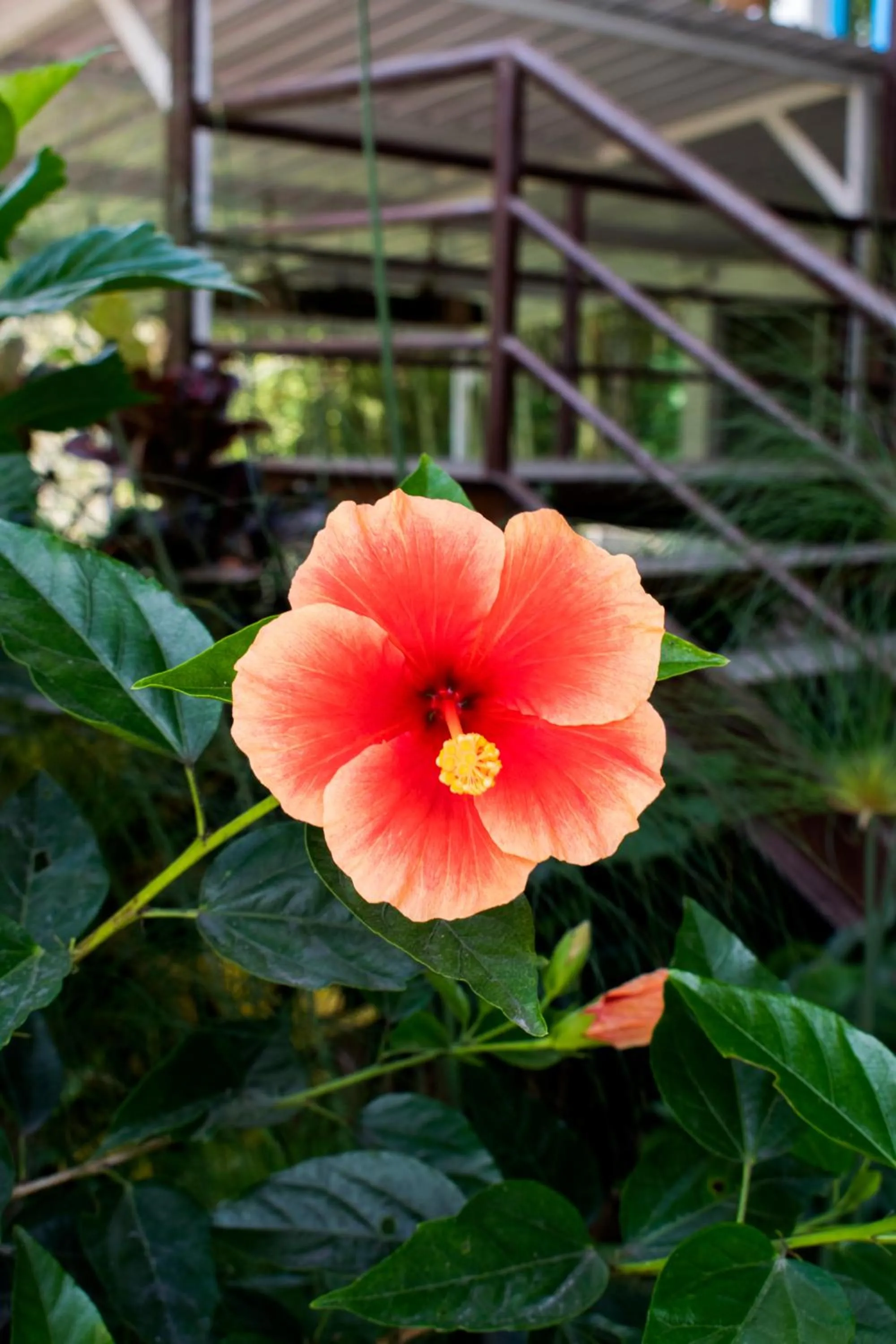 Decorative detail in Hotel Hacienda Santa Clara