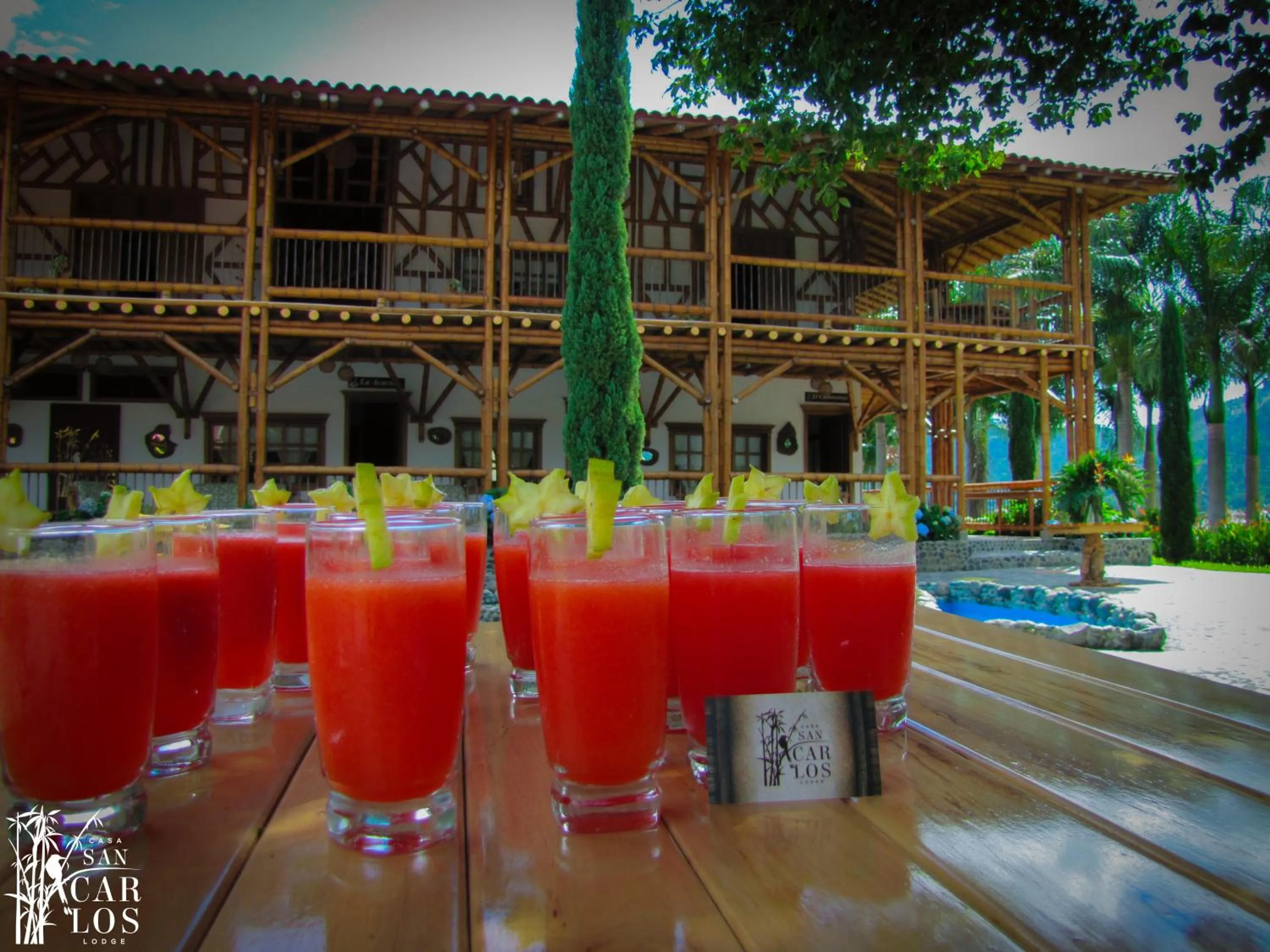 Natural landscape in Hotel Casa San Carlos Lodge Pereira