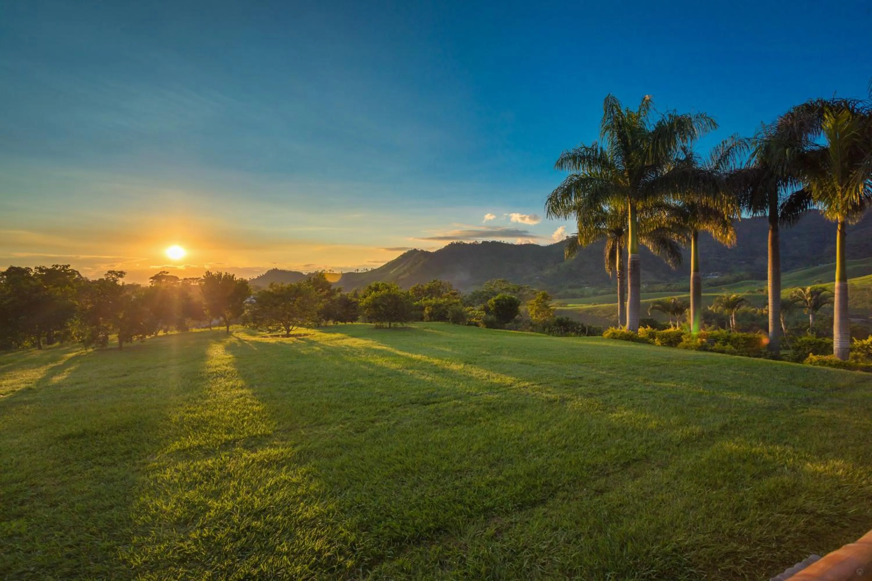 Natural landscape in Hotel Casa San Carlos Lodge Pereira