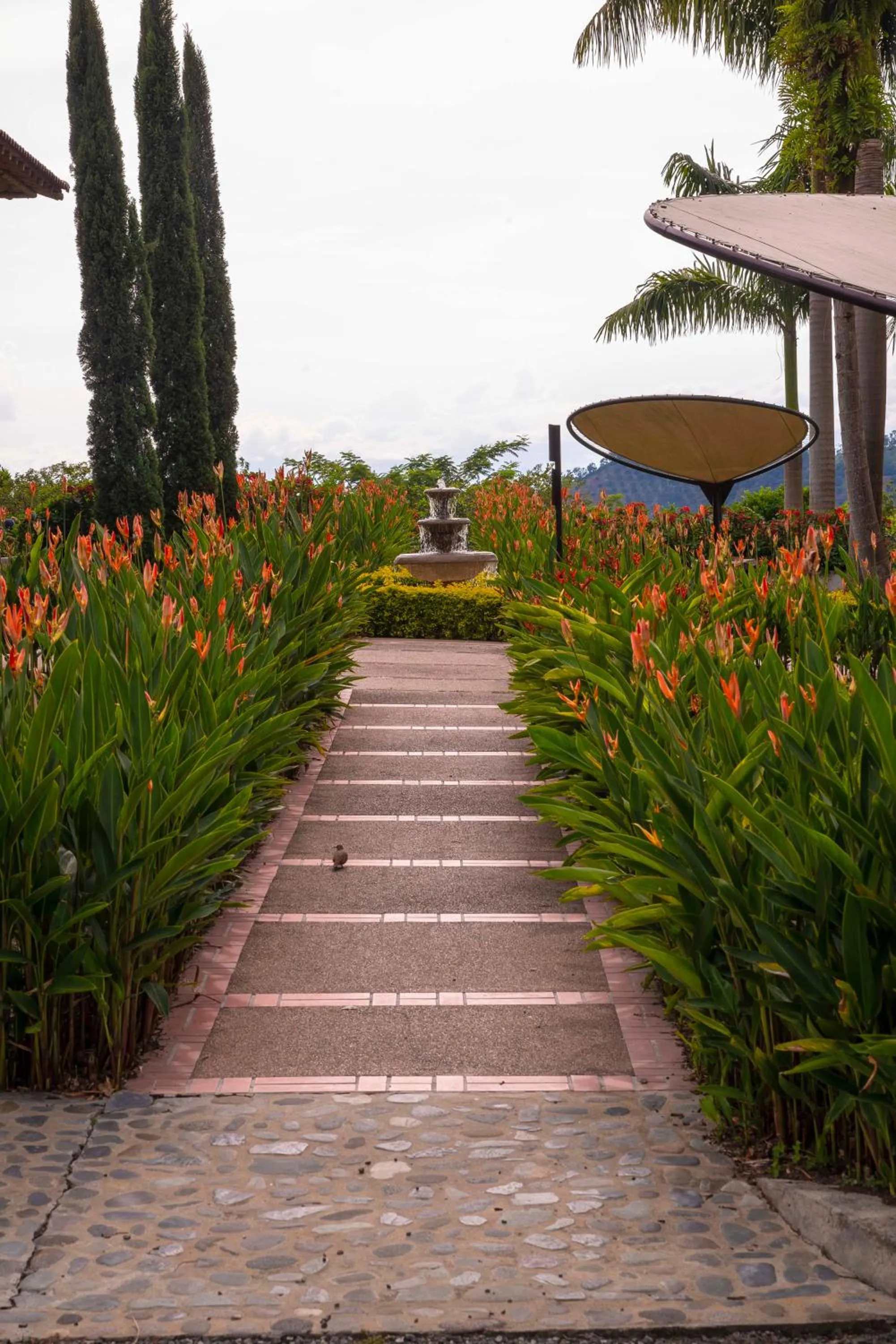 Garden in Hotel Casa San Carlos Lodge Pereira