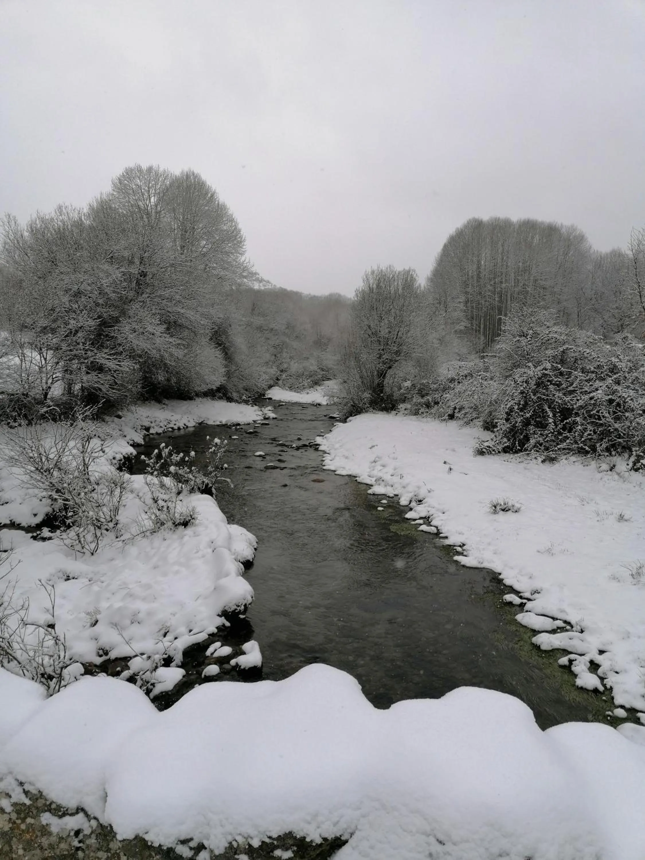 Natural landscape in El Cerrillo II