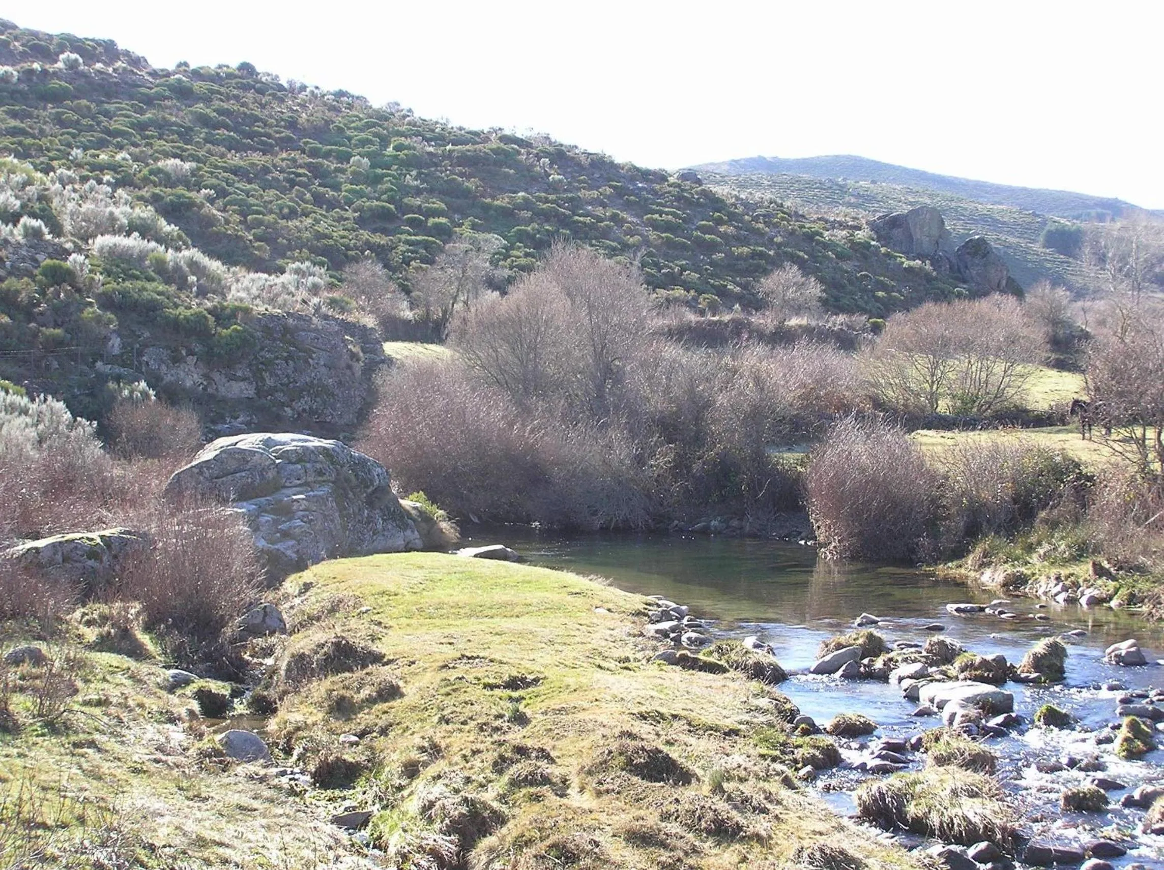 Property building in El Cerrillo II