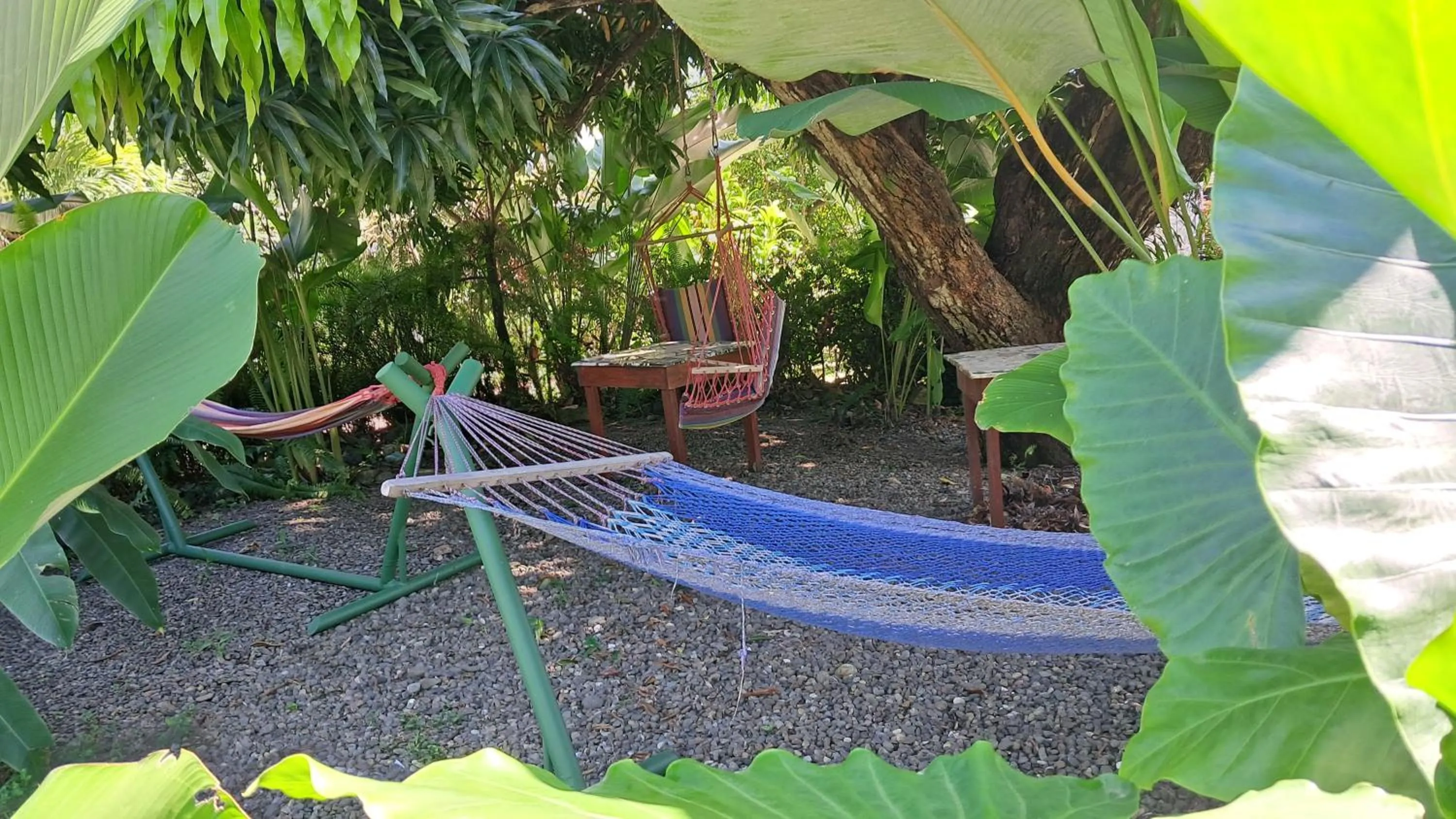 Garden in Dolce Uvita