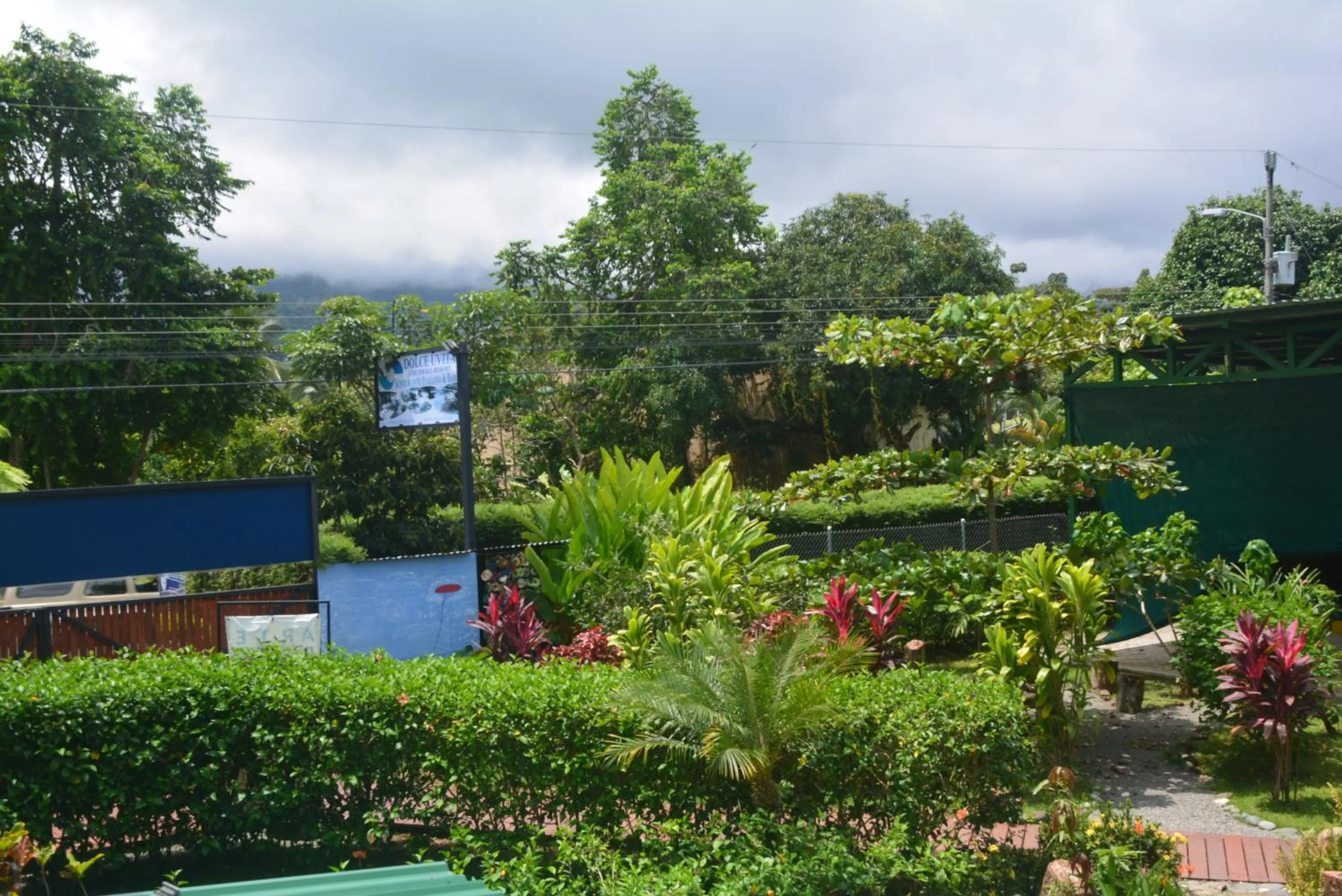 Garden in Dolce Uvita
