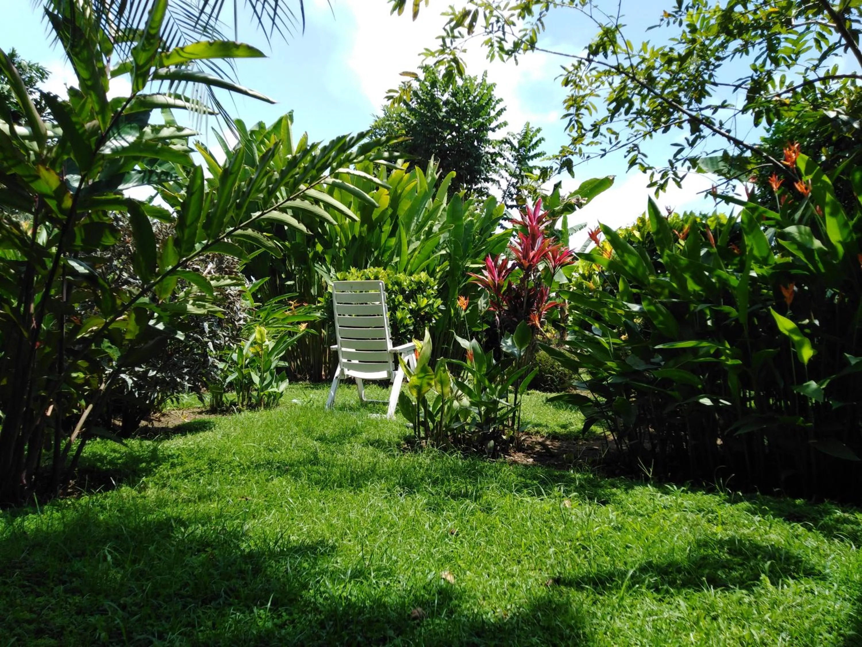 Garden in Dolce Uvita