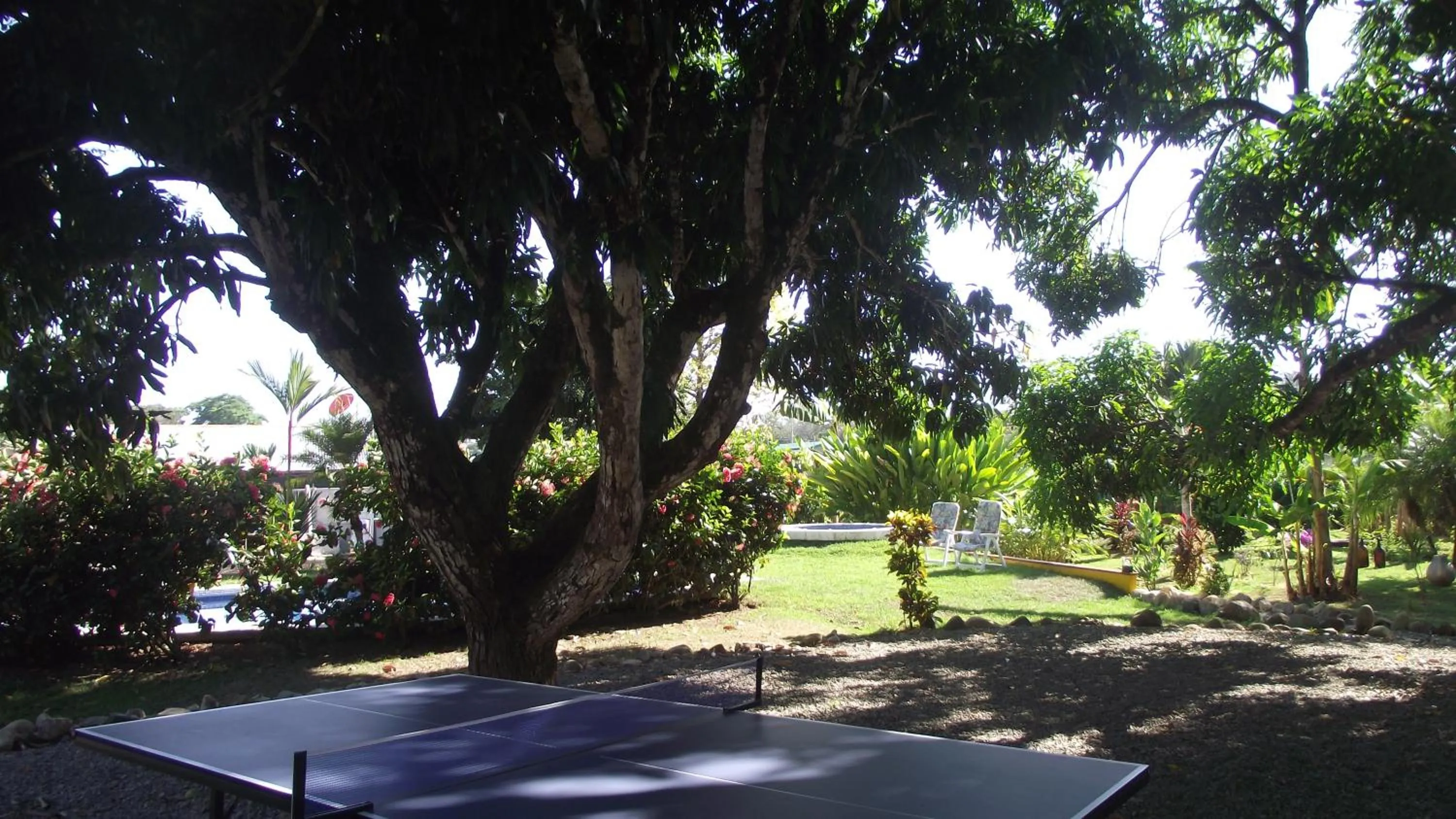 Garden in Dolce Uvita