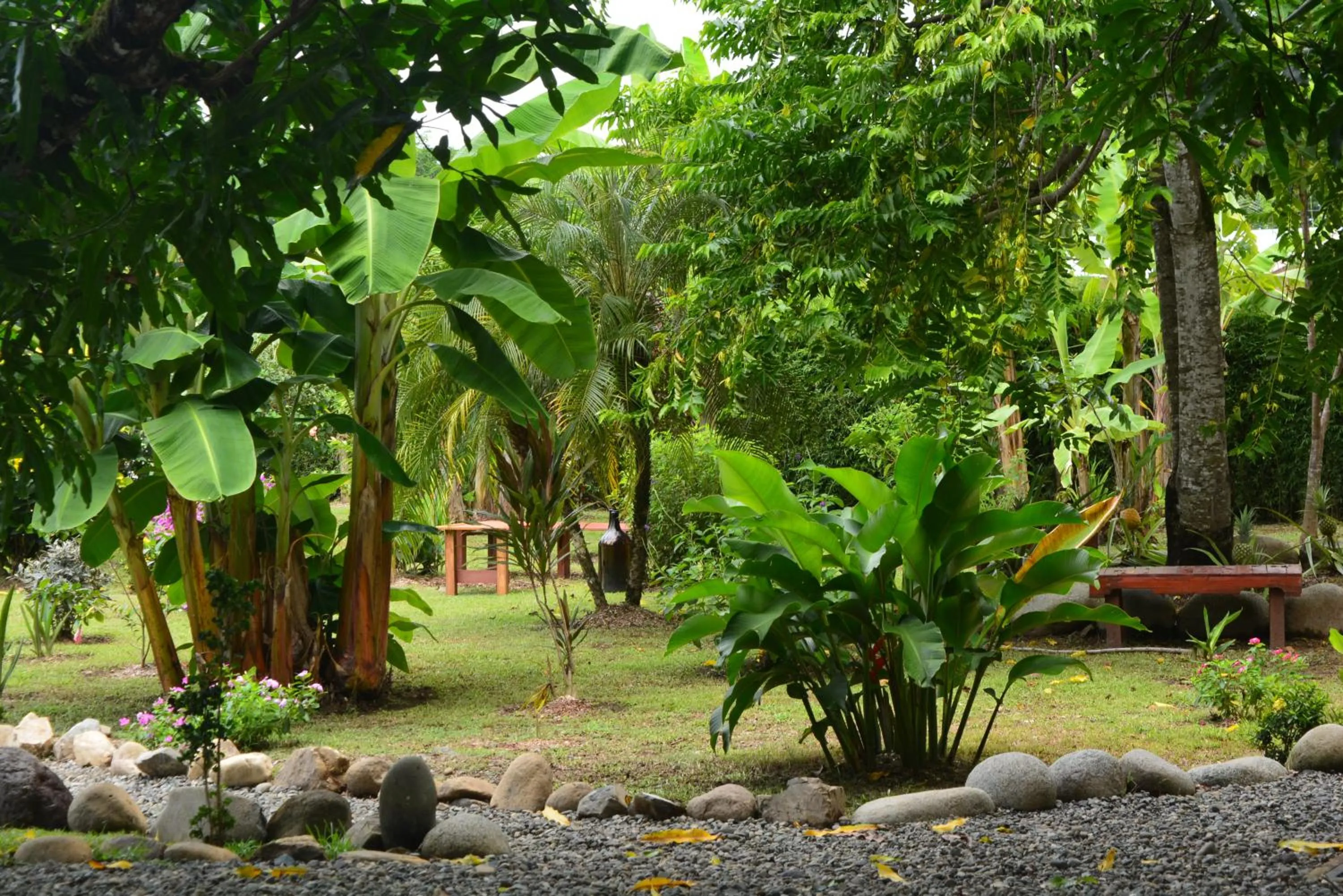 Garden in Dolce Uvita