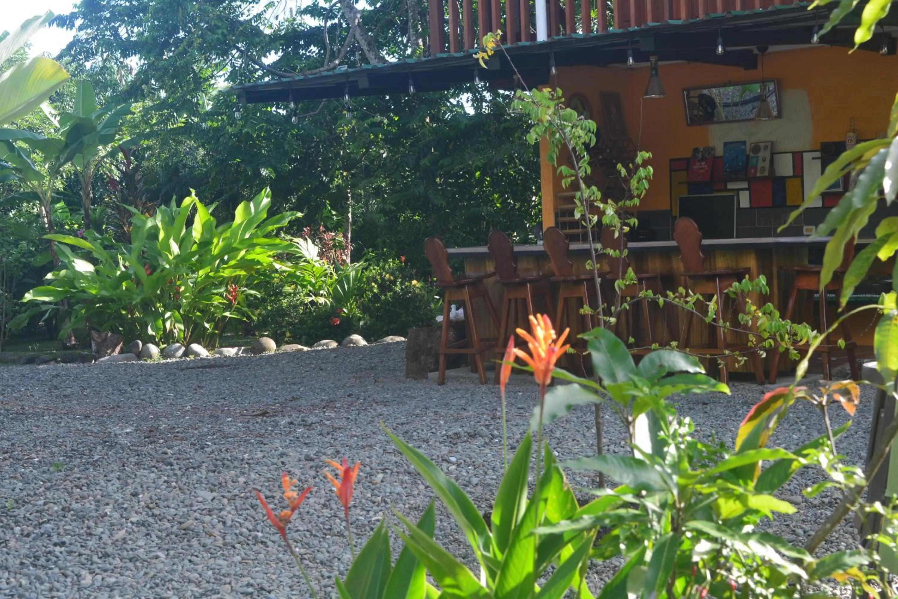 Garden in Dolce Uvita