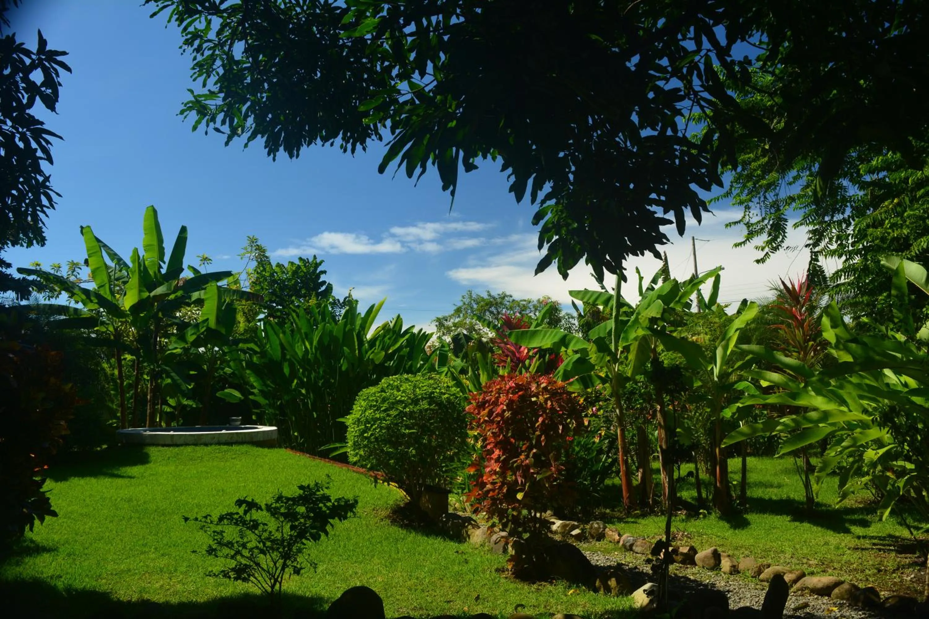 Garden in Dolce Uvita