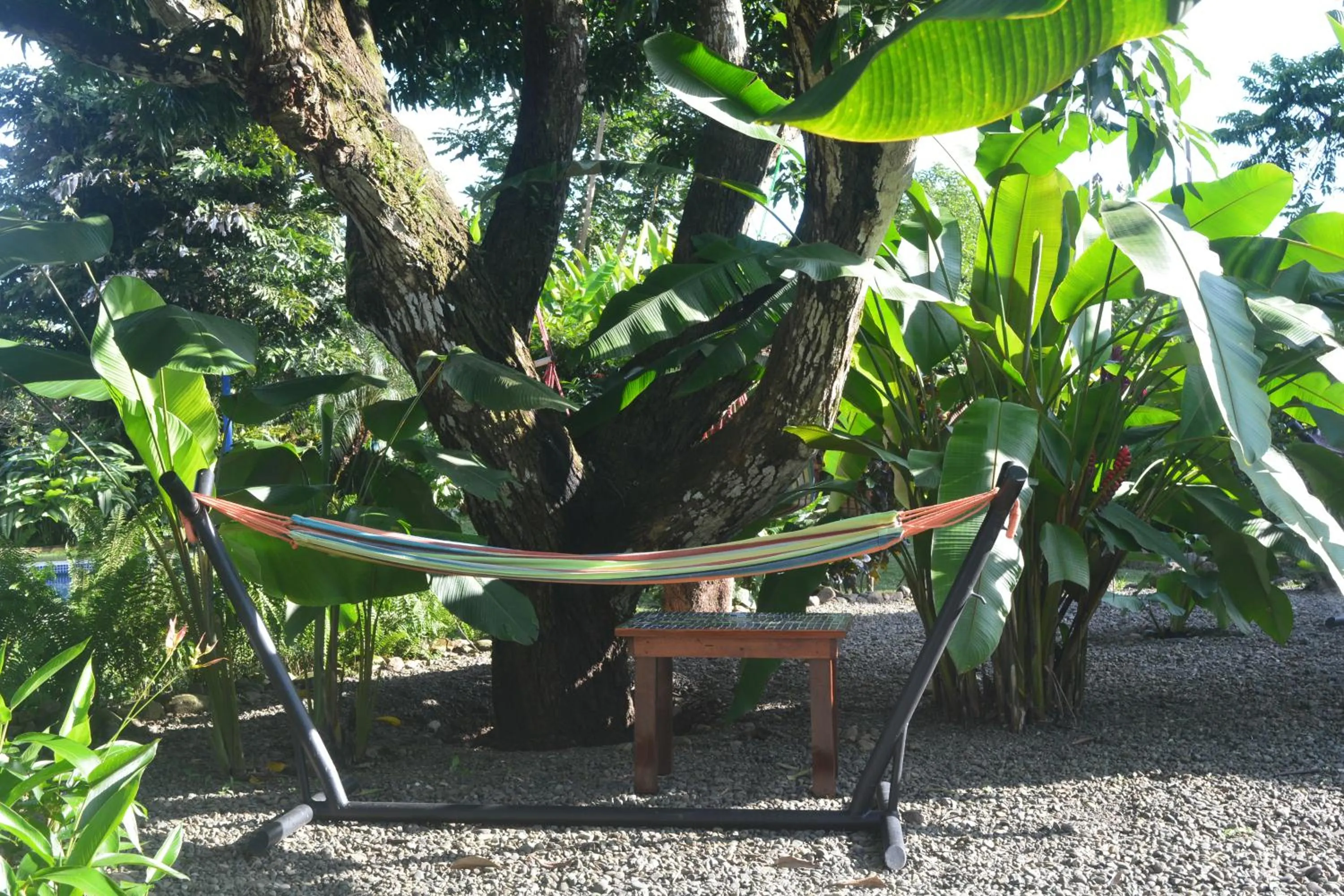 Garden in Dolce Uvita