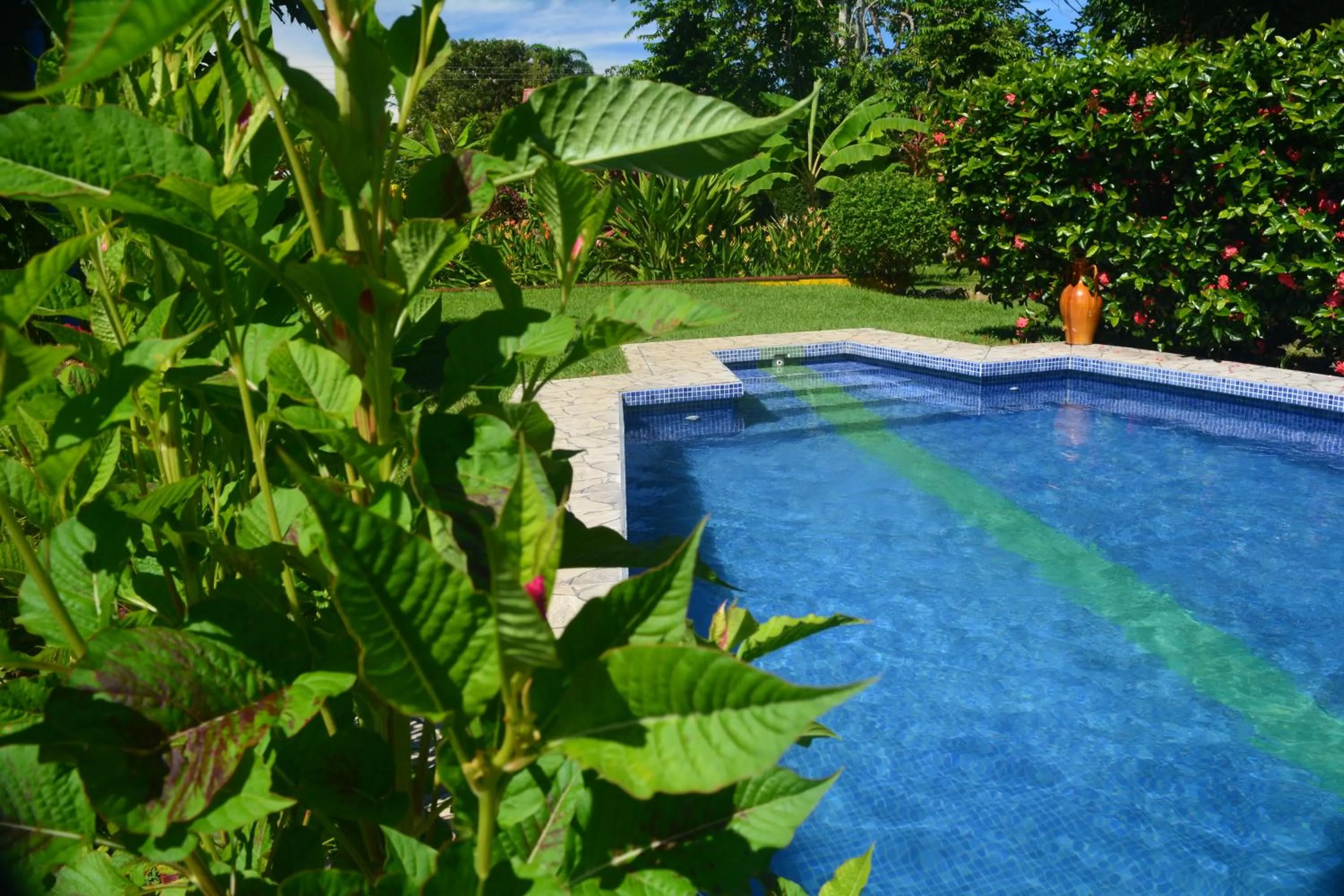Swimming pool in Dolce Uvita