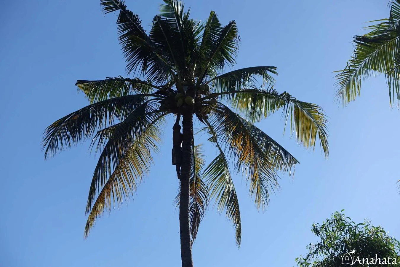 Natural landscape in Anahata - Tropical Private Villas