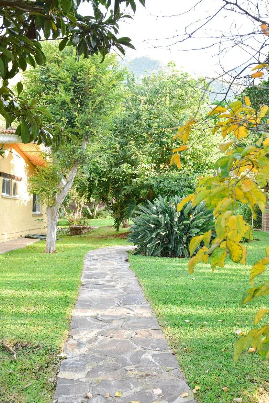 Deluxe Double or Twin Room with Garden View in Casa Palomas Bed and Breakfast Deluxe Double or Twin Room with Garden View in Casa Palomas Bed and Breakfast