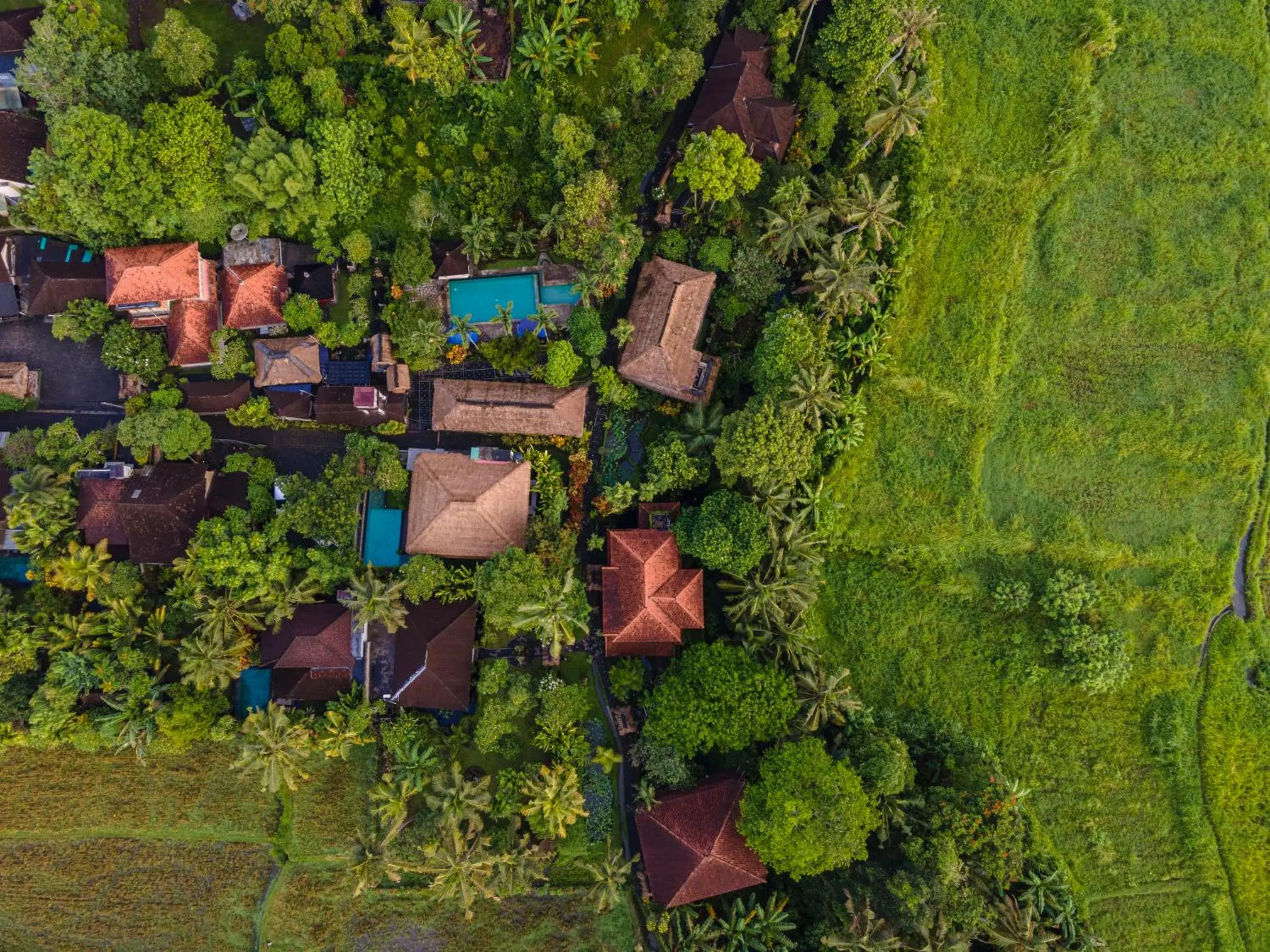 Bird's eye view in Alam Jiwa Ubud Bird's eye view in Alam Jiwa Ubud