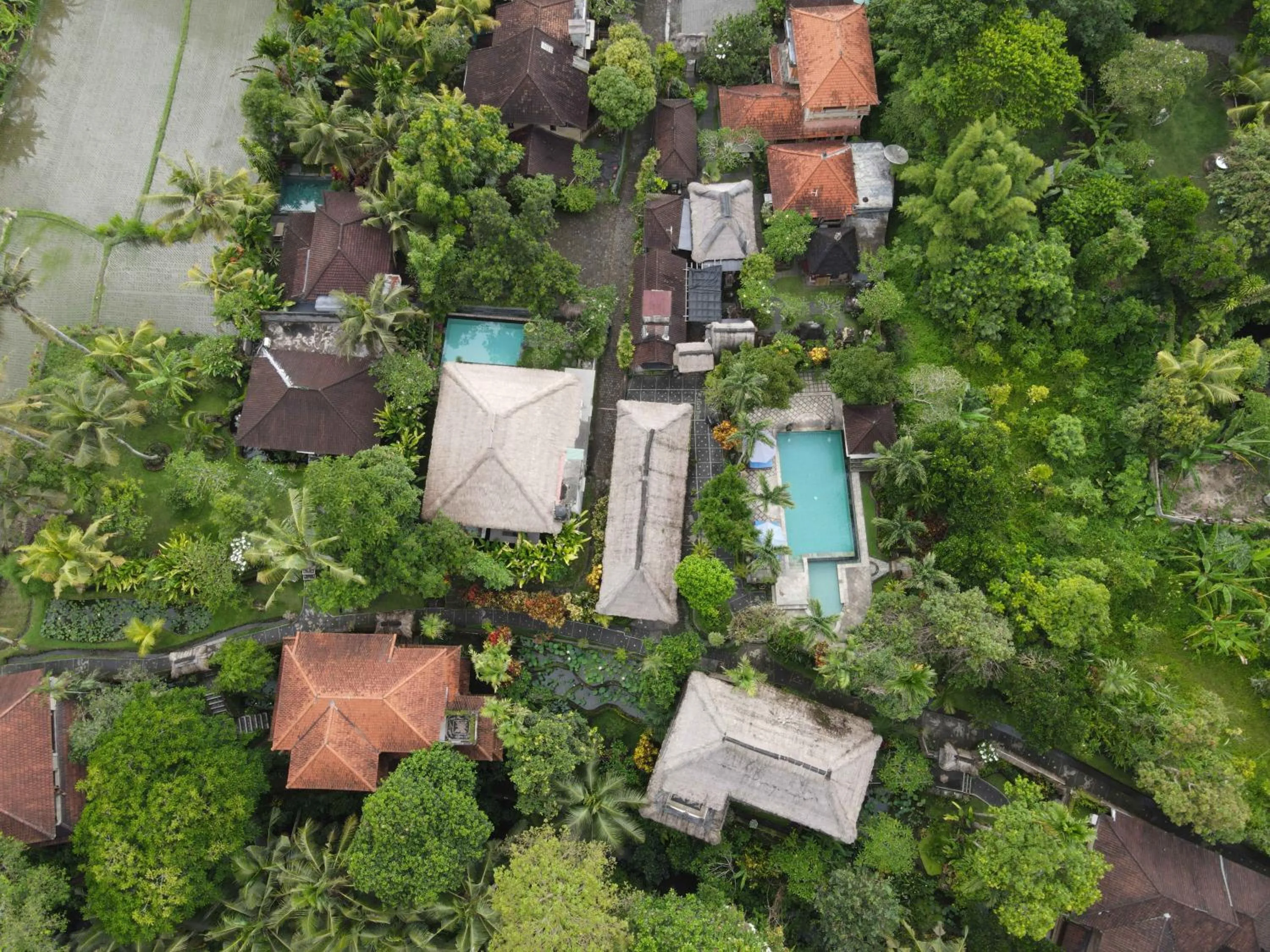 Property building in Alam Jiwa Ubud