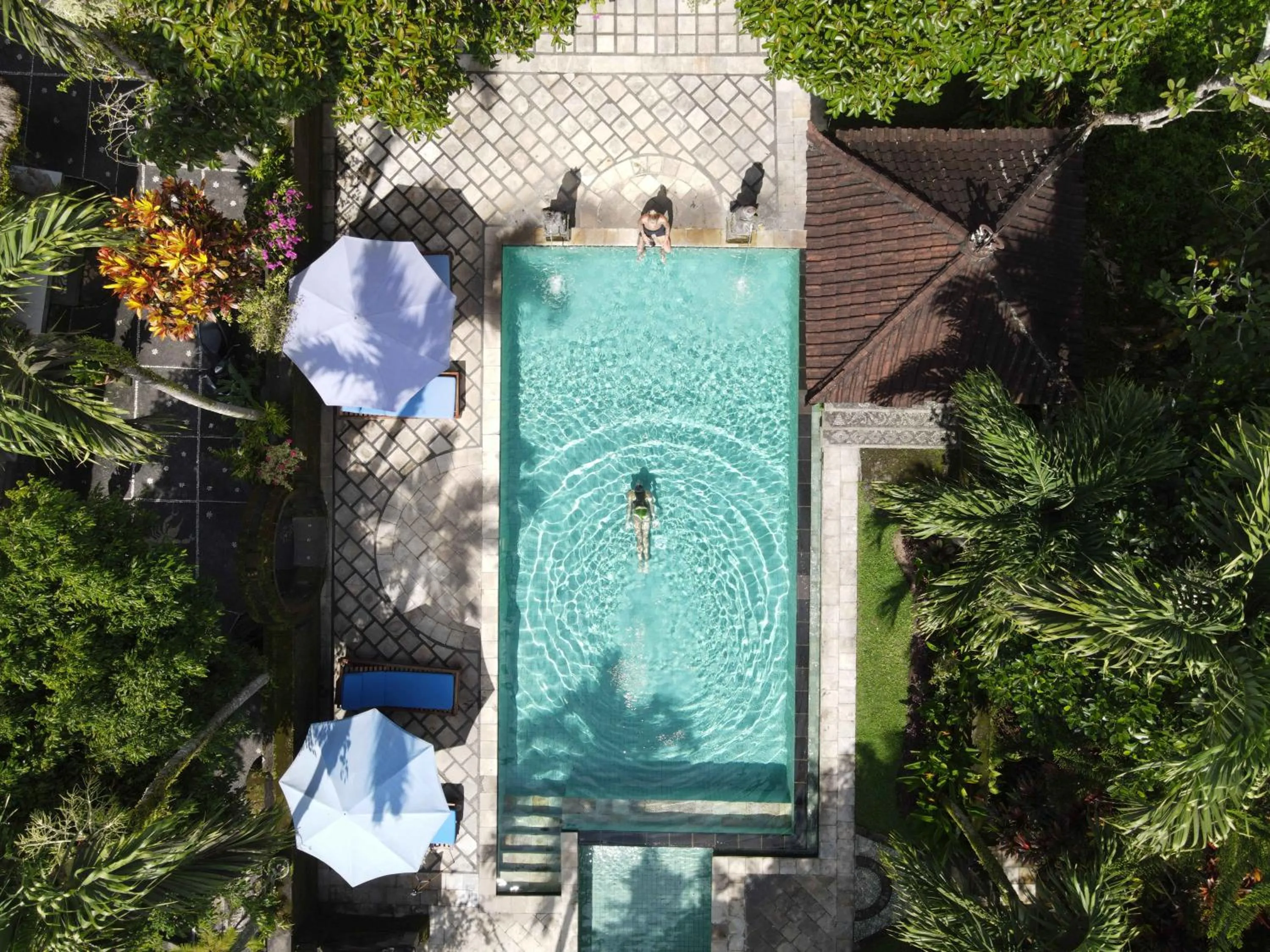 Swimming pool in Alam Jiwa Ubud