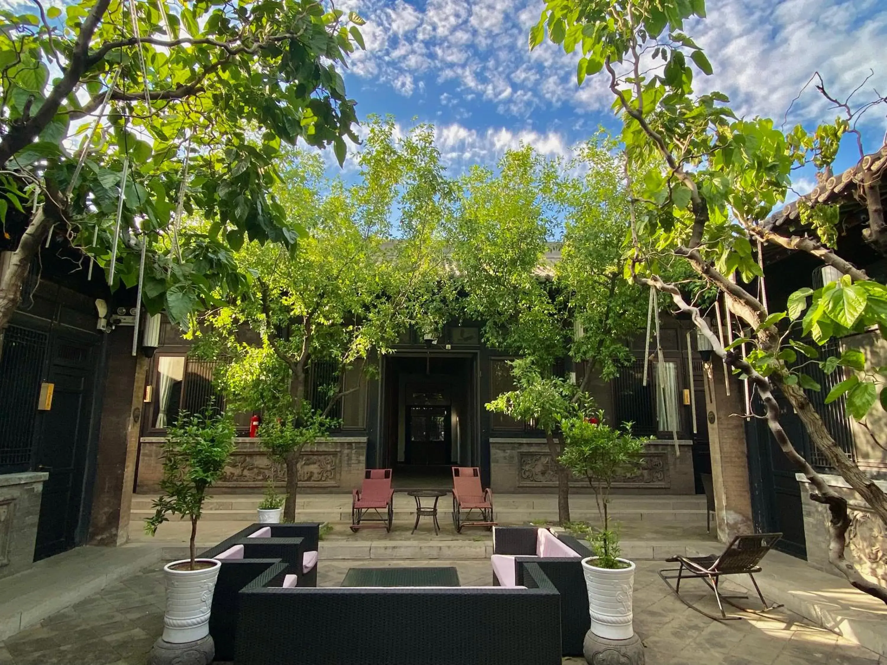 Garden view in Elsewhere Hotel Inn North Street Branch Garden view in Elsewhere Hotel Inn North Street Branch