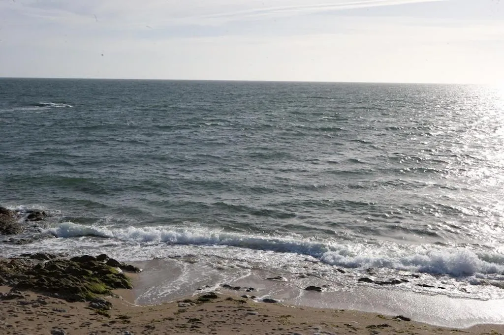 Beach in Villa Belmont